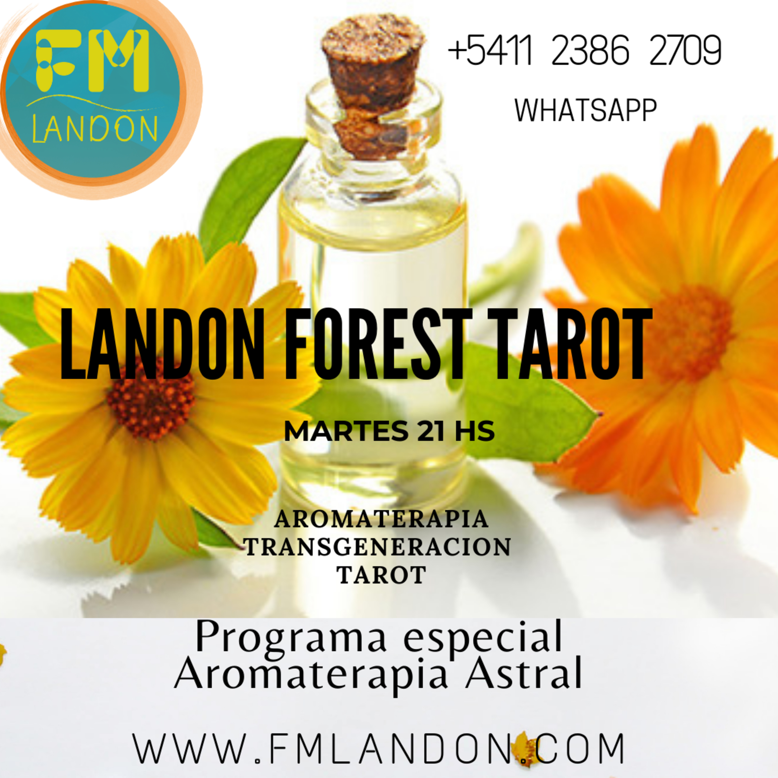 Tarot Land On Forest AROMATERAPIA episode artwork