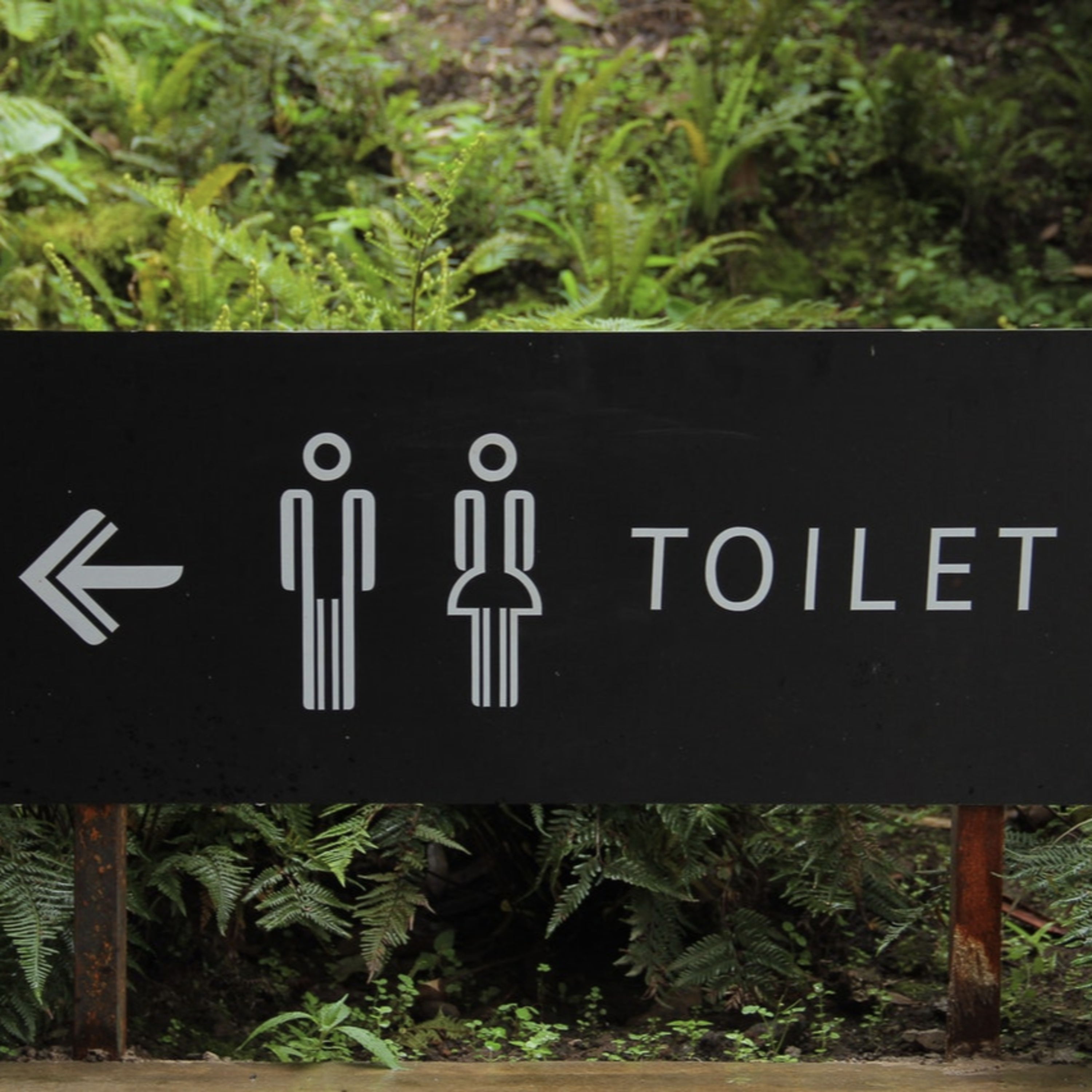 Toylet Toilet by Kimyona Review