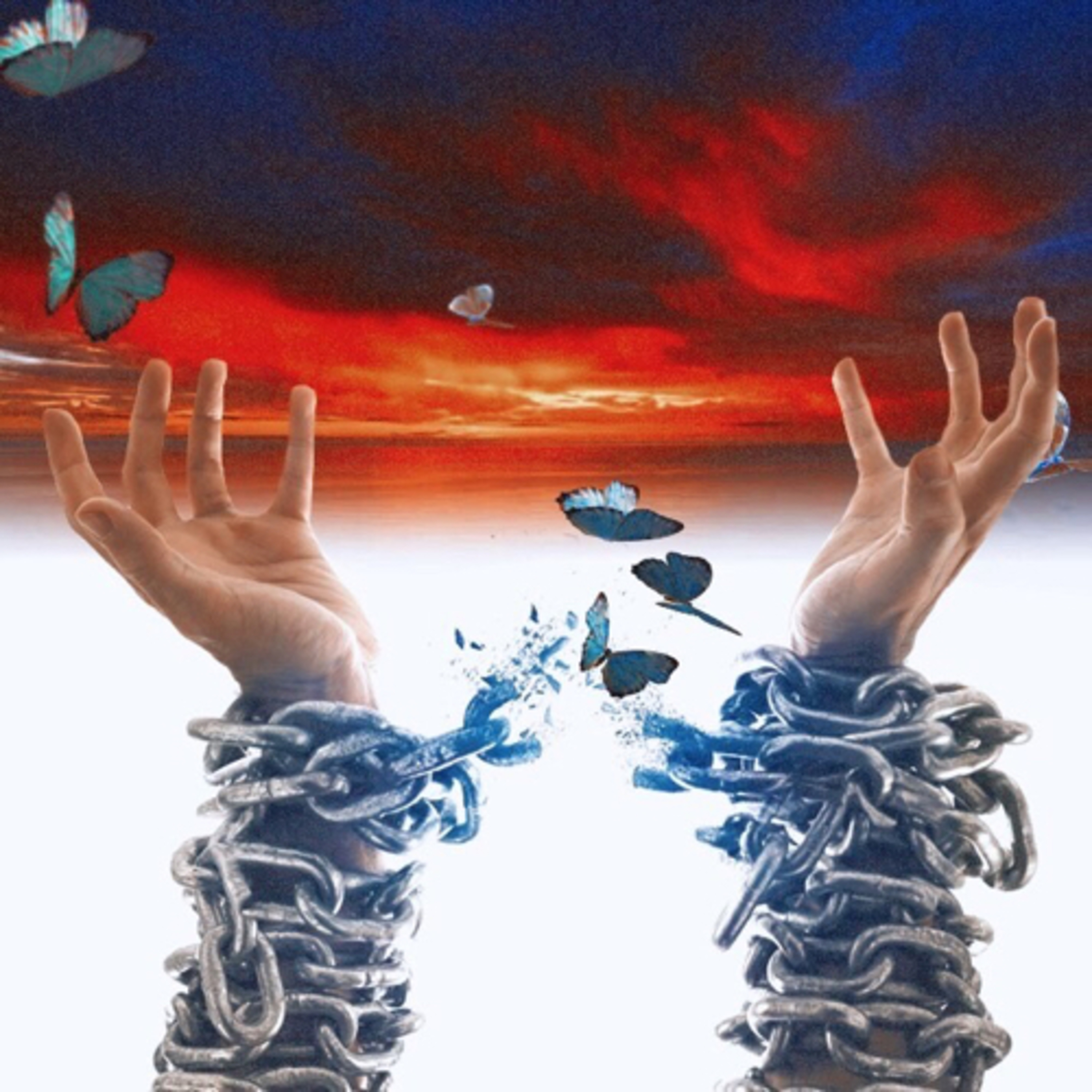 Pardon  episode artwork