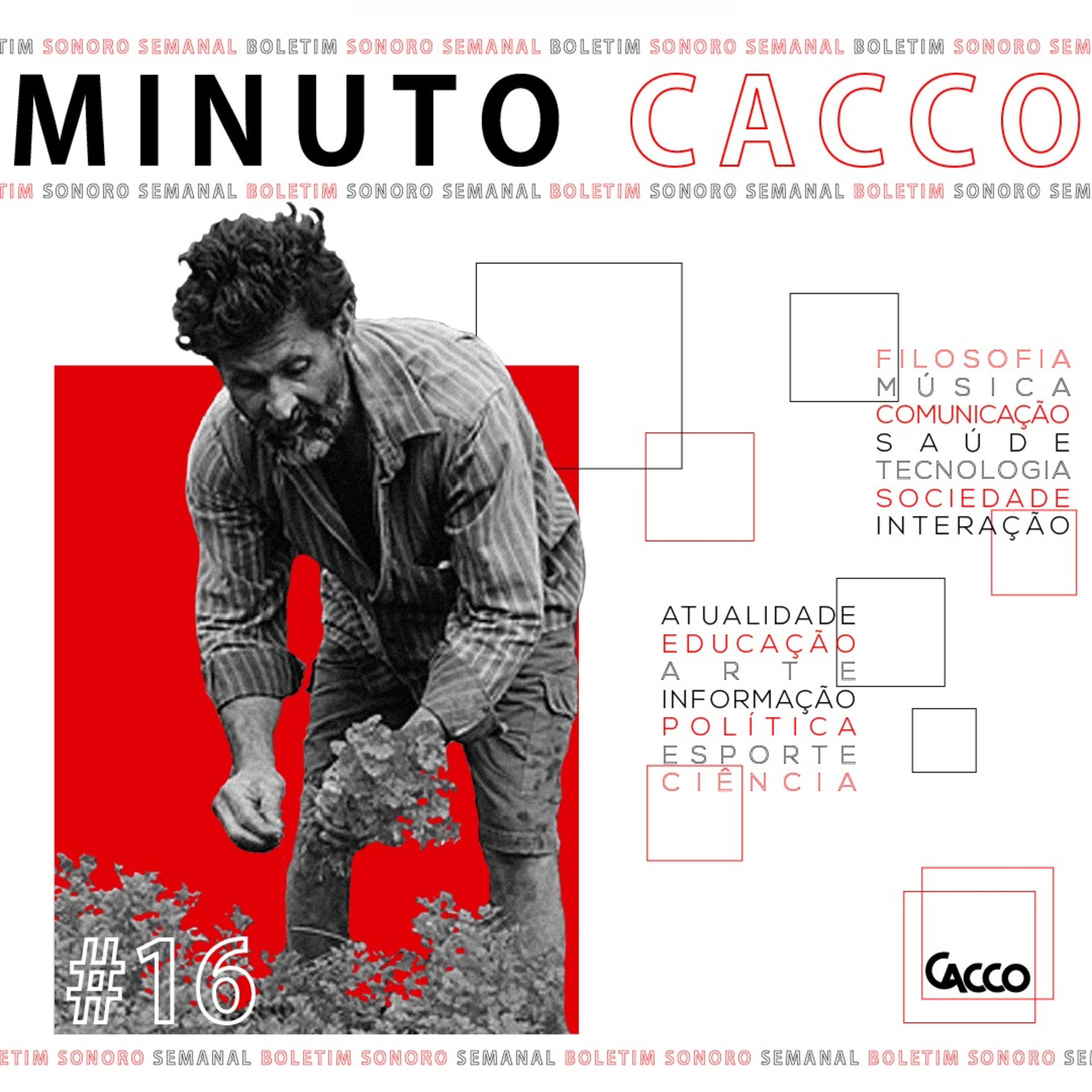 Minuto Cacco