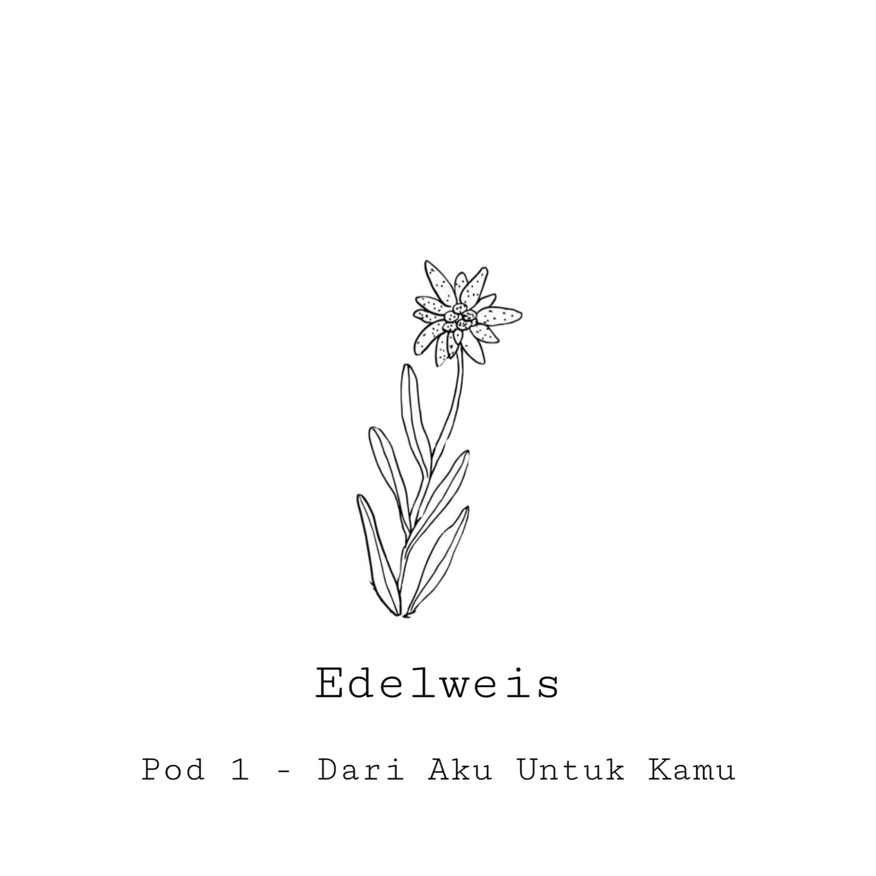 Edelweis | Pod 1 - Dari Aku Untuk Kamu episode artwork