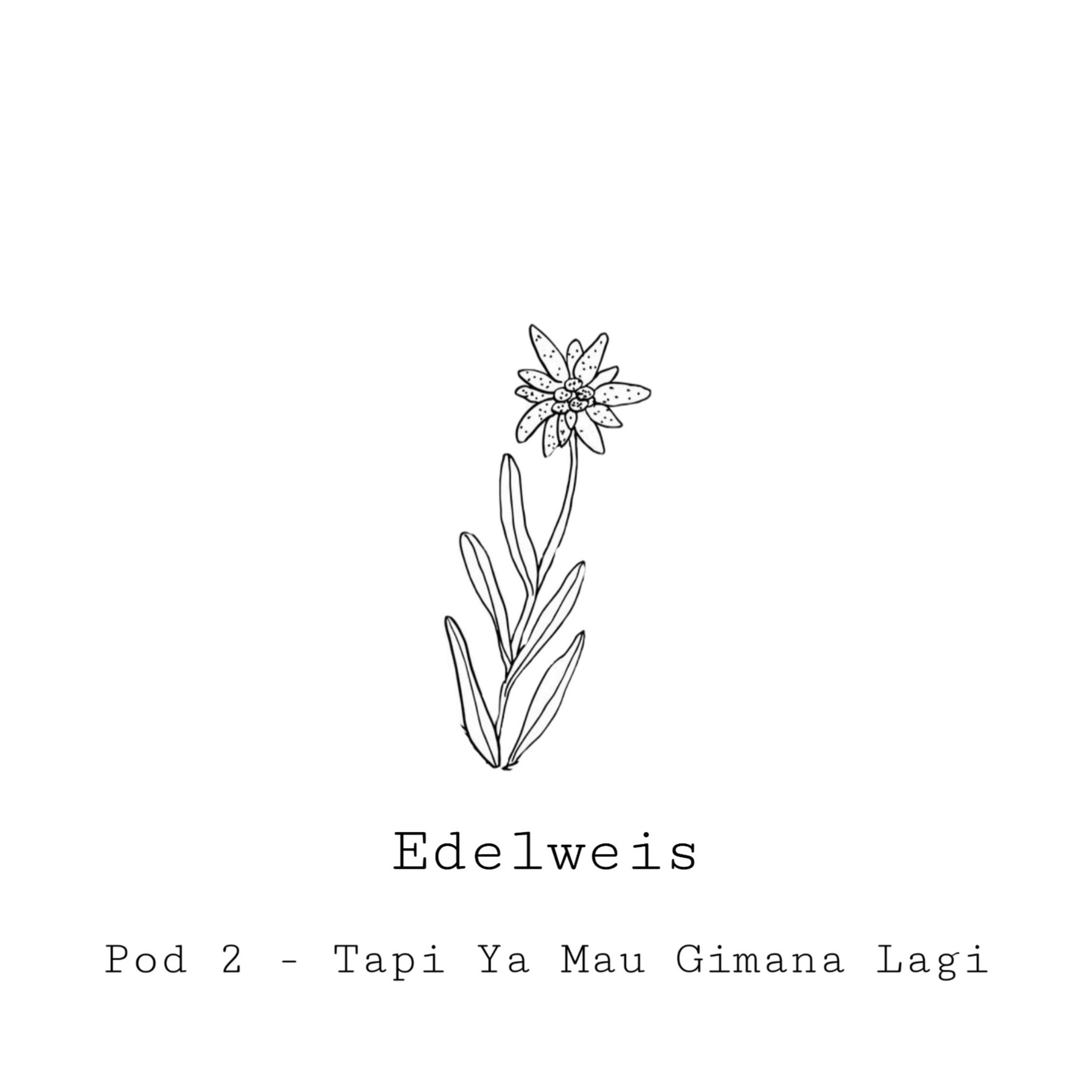 Edelweis | Pod 2 - Tapi Ya Mau Gimana Lagi episode artwork