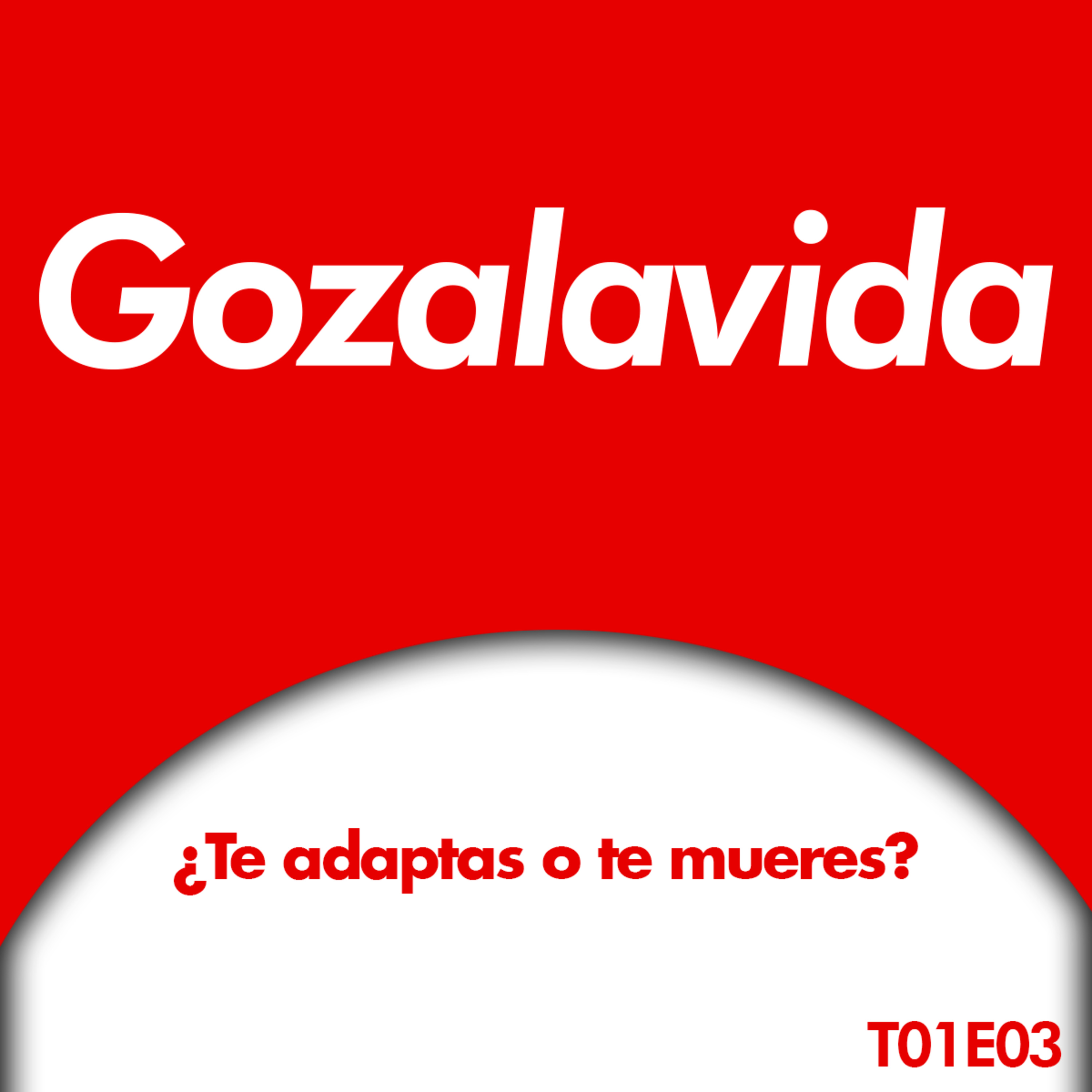 Gozalavida