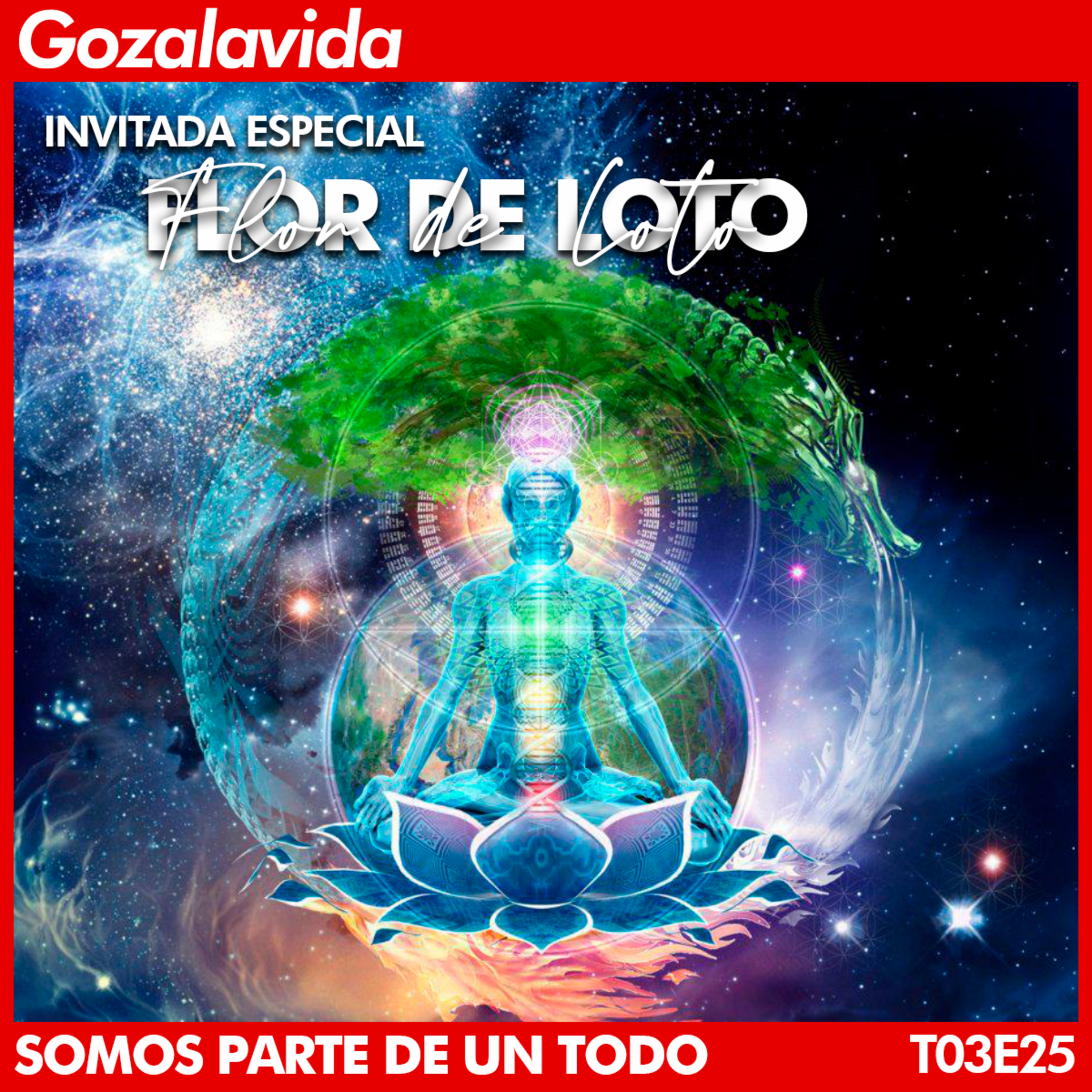 Gozalavida