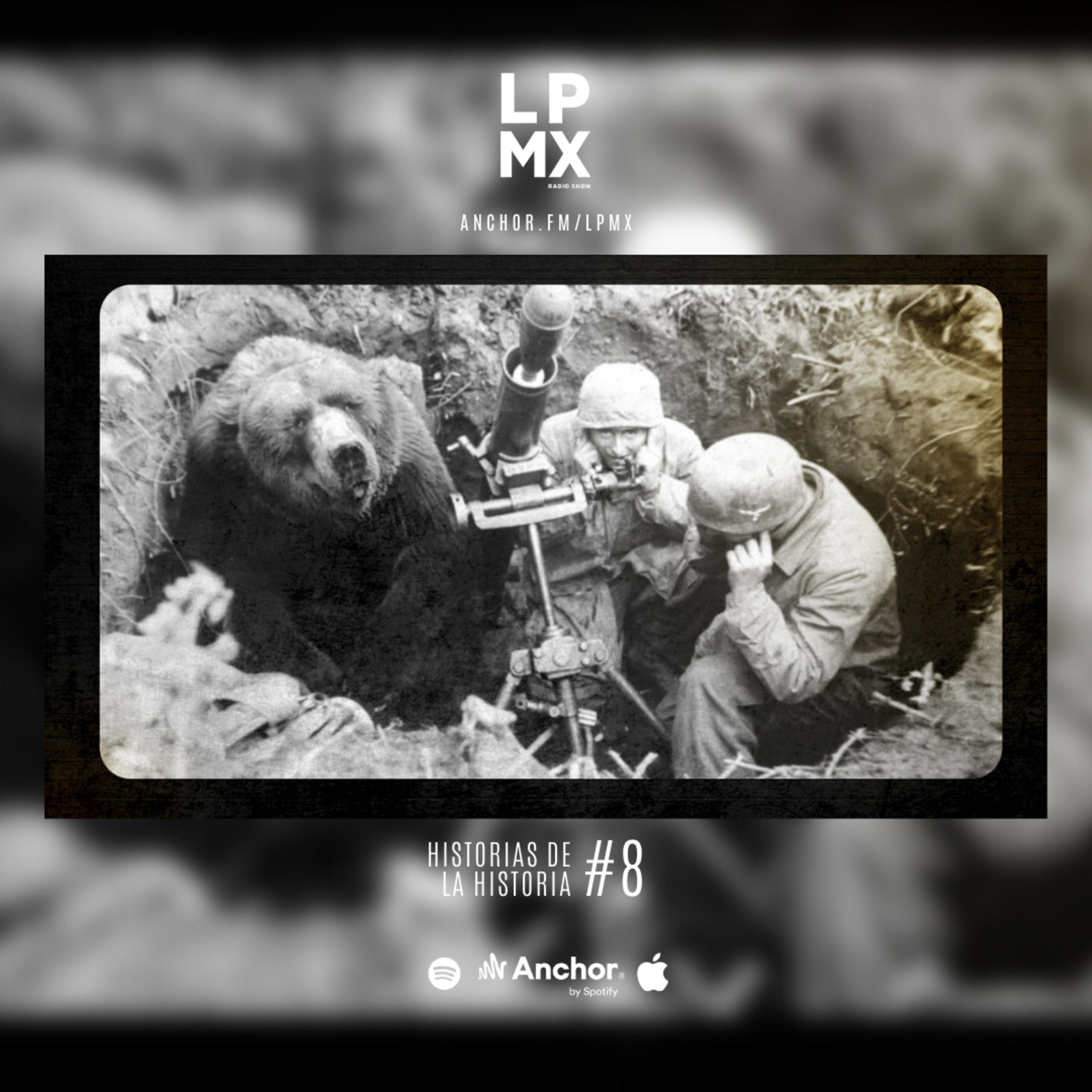 HISTORIAS DE LA HISTORIA #8. WOJTEK, EL OSO DE LA SEGUNDA GUERRA MUNDIAL episode artwork