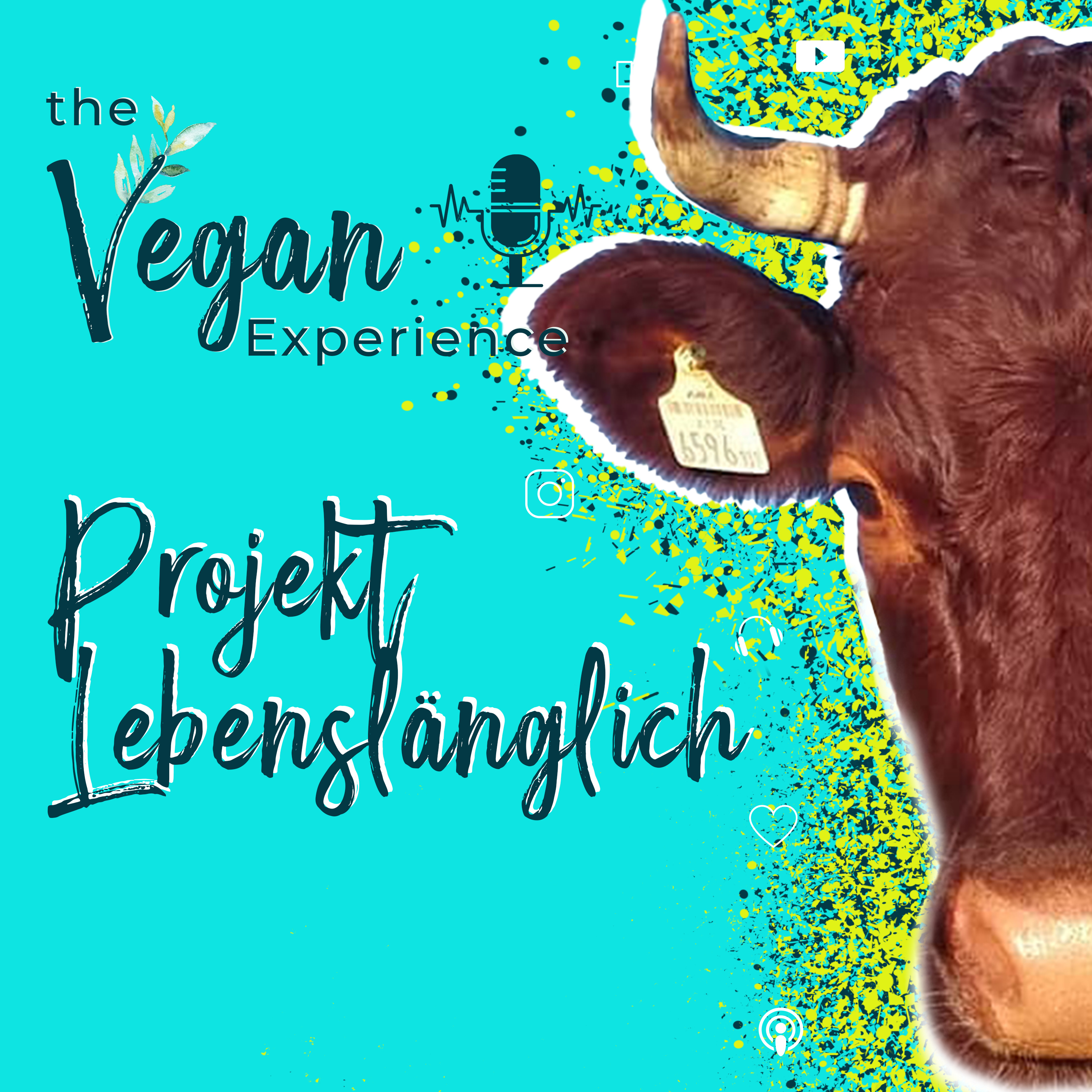 The Vegan Experience