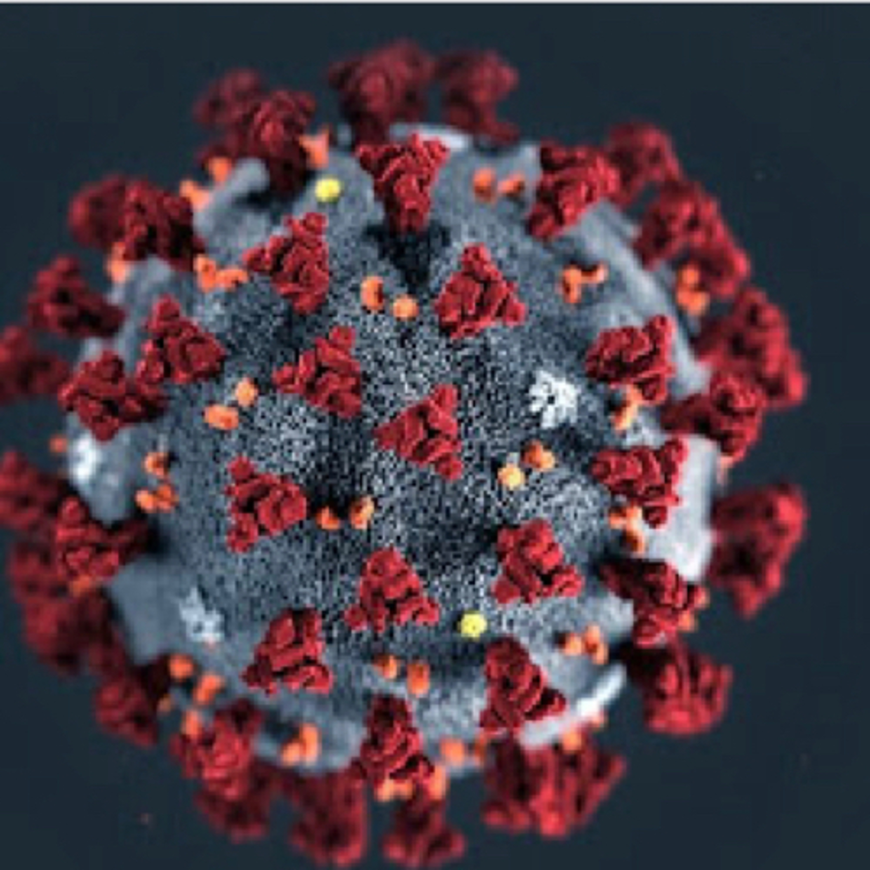Coronavirus