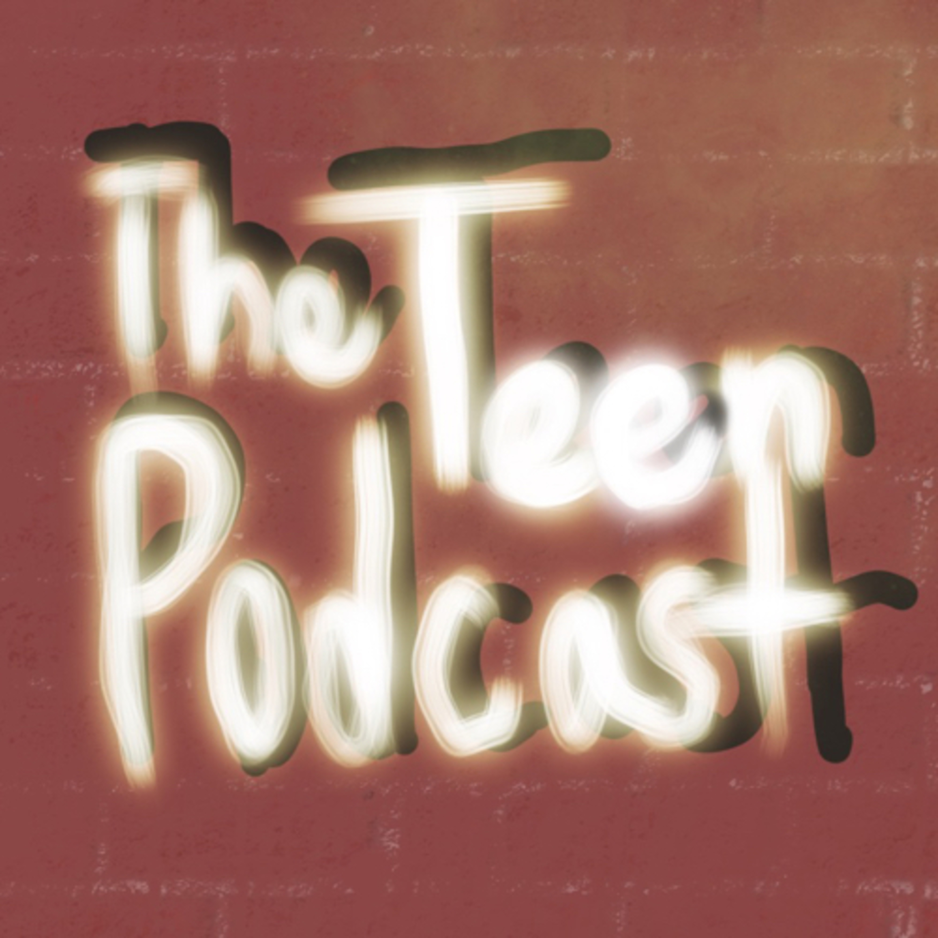 America from the eyes of teens