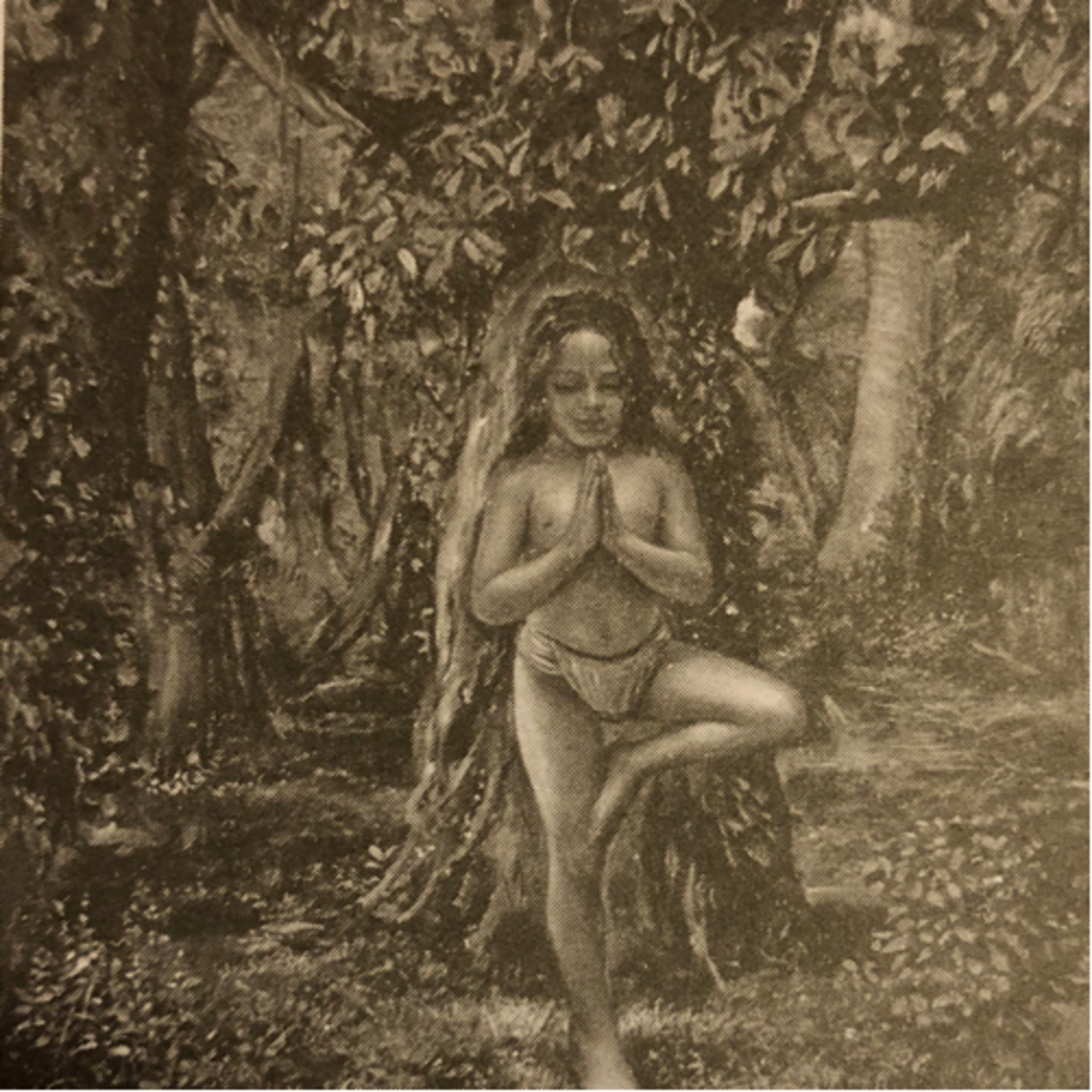 A suavidade dos pássaros  episode artwork