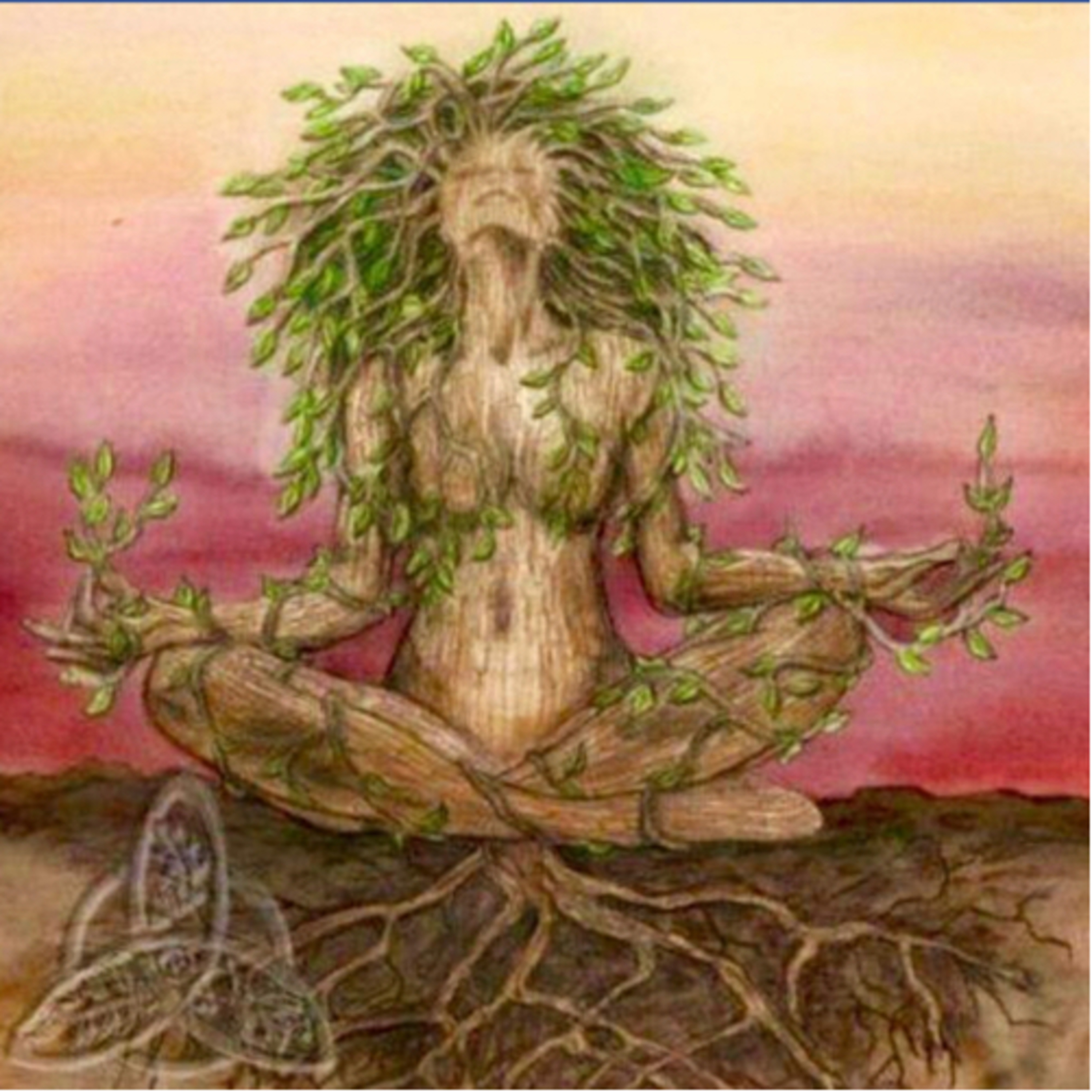 Meditação guiada  episode artwork