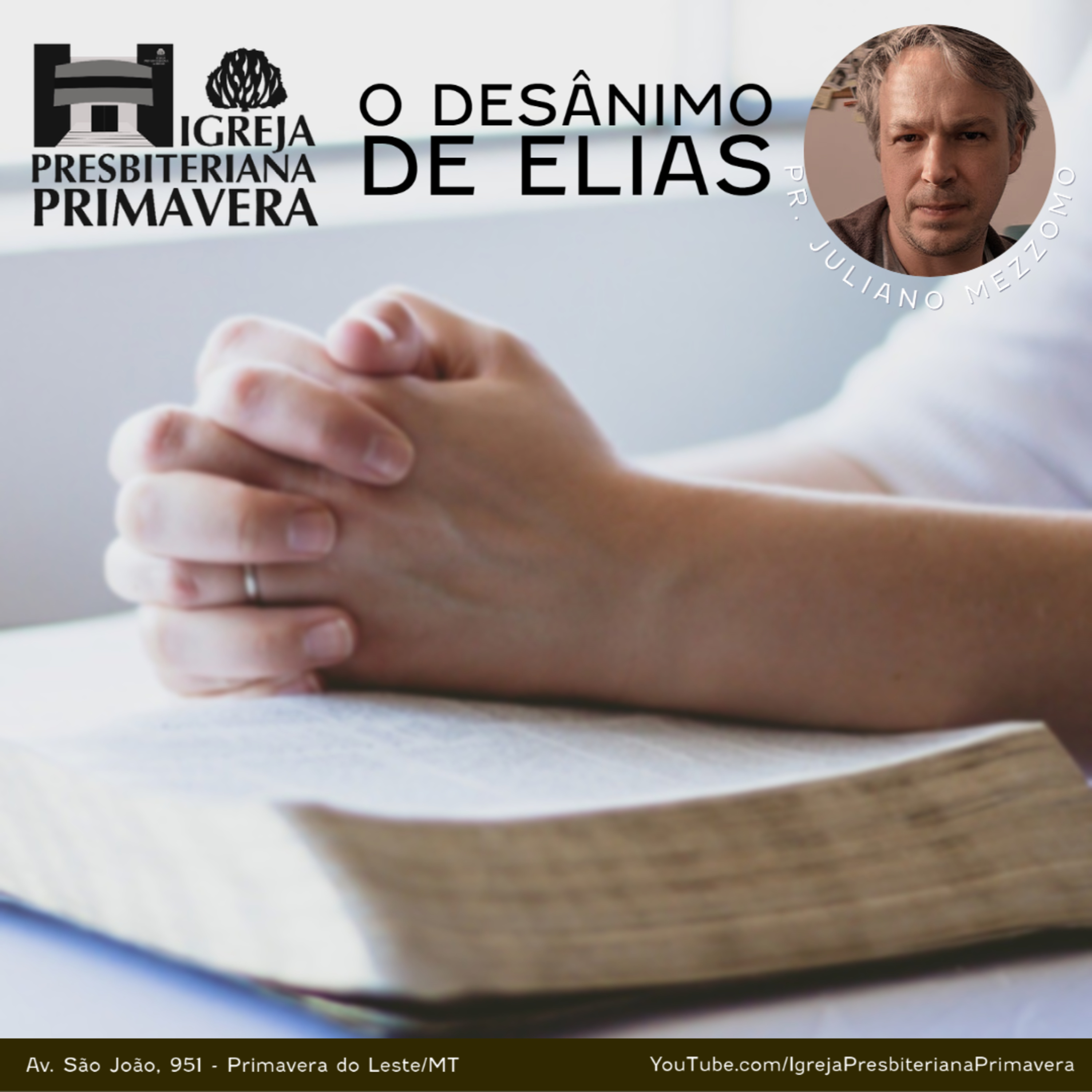 IPBPVA