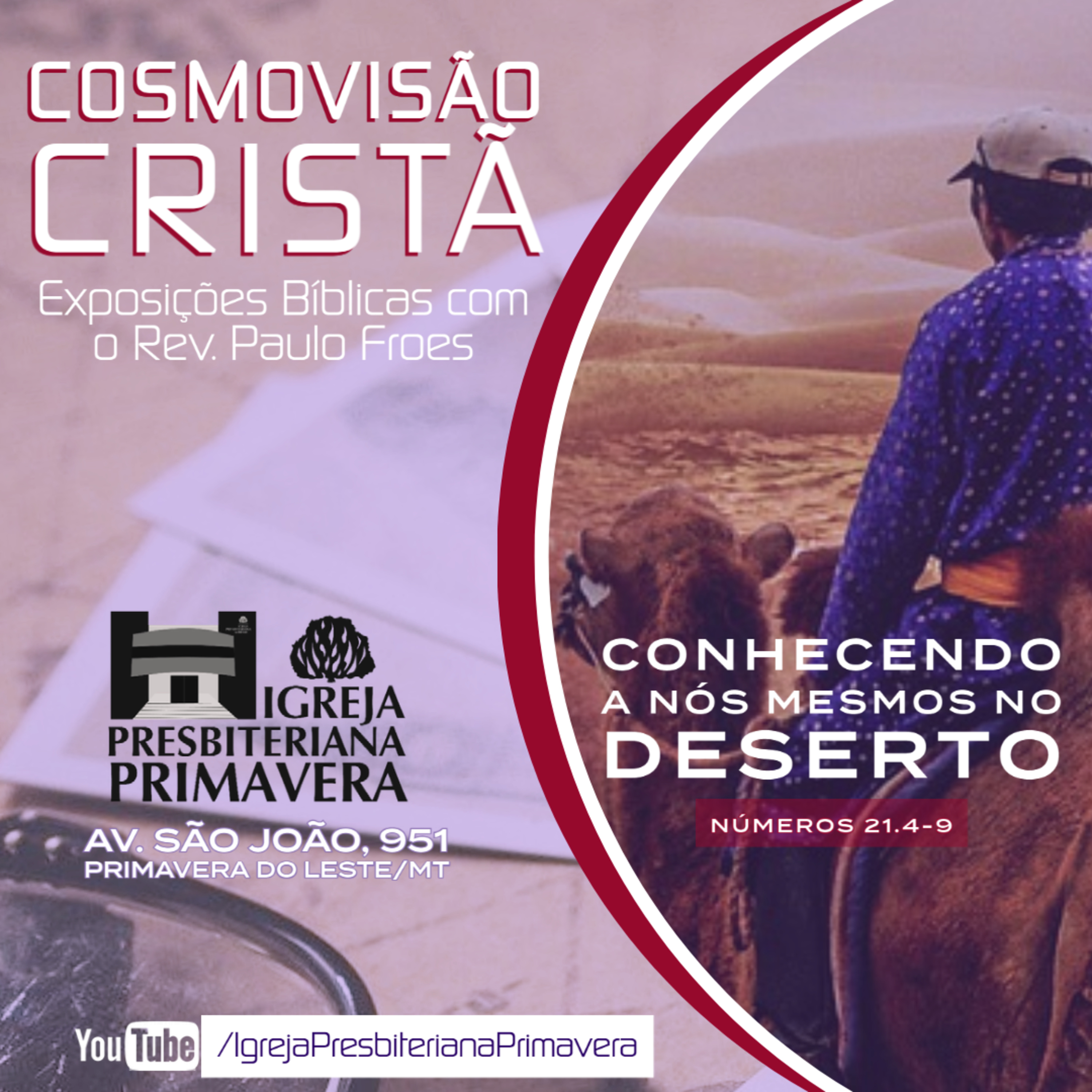 IPBPVA