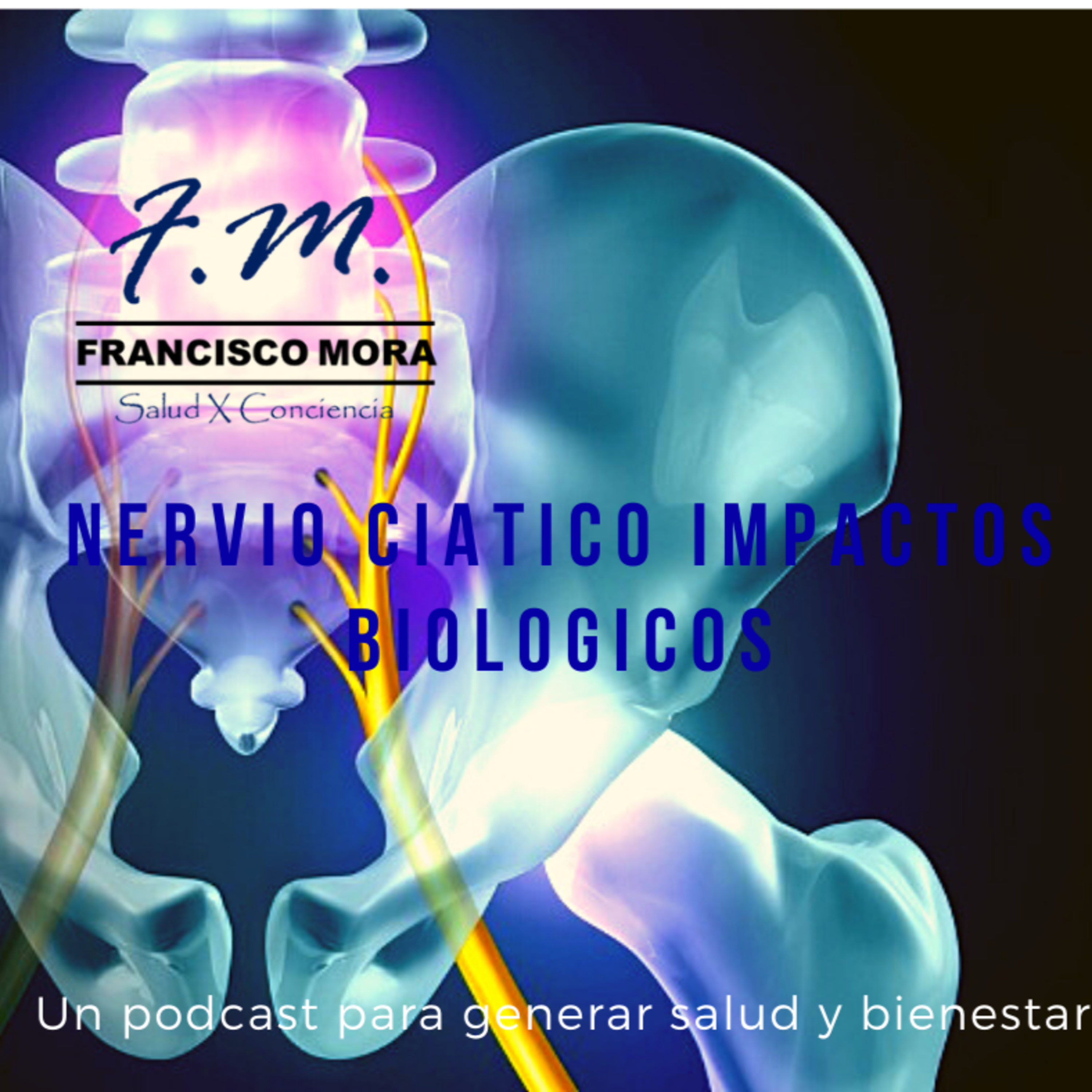 Nervio Ciatico, los conflictos biológicos emocionales episode artwork