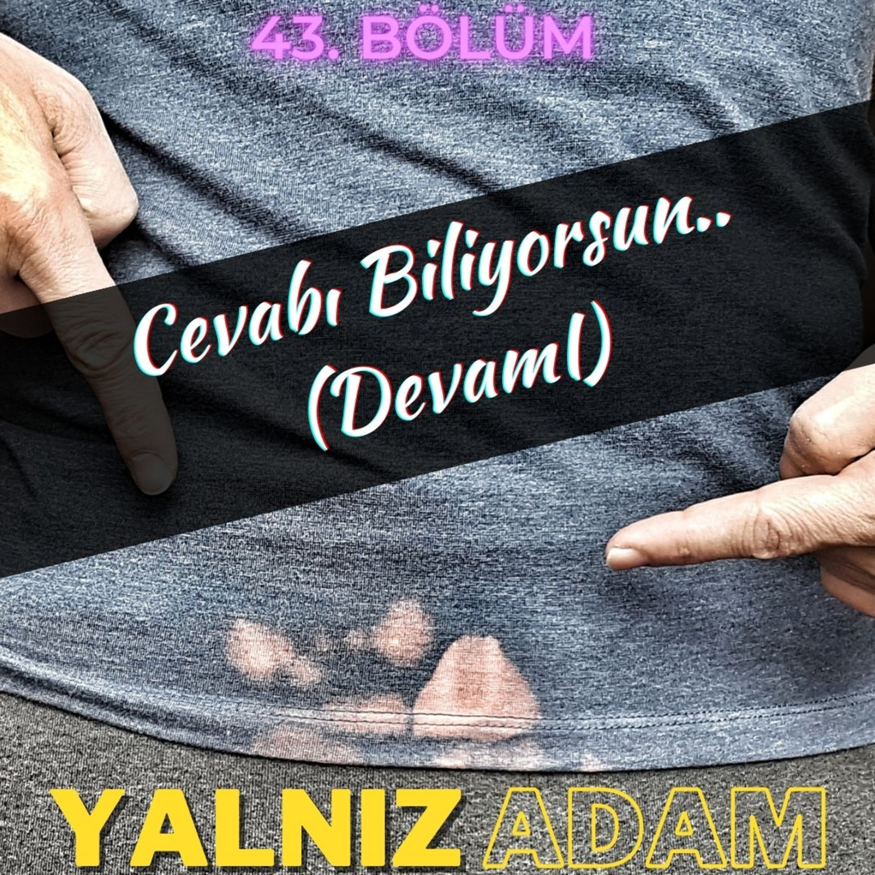 Cevabı Biliyorsun.. (Devamı) - 43. Bölüm episode artwork