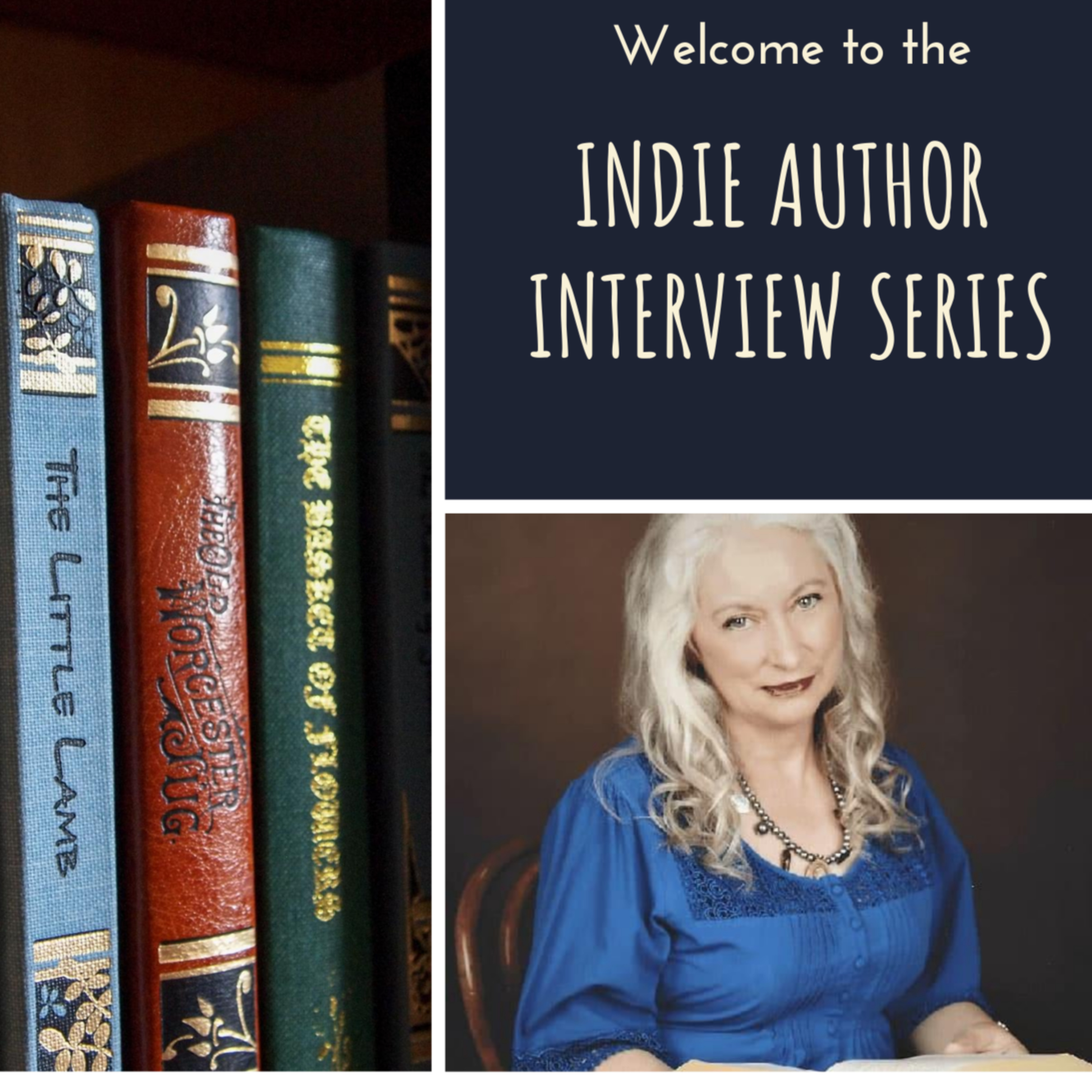 28. Indie Author Interview Series - Rhonda Valentine episode artwork