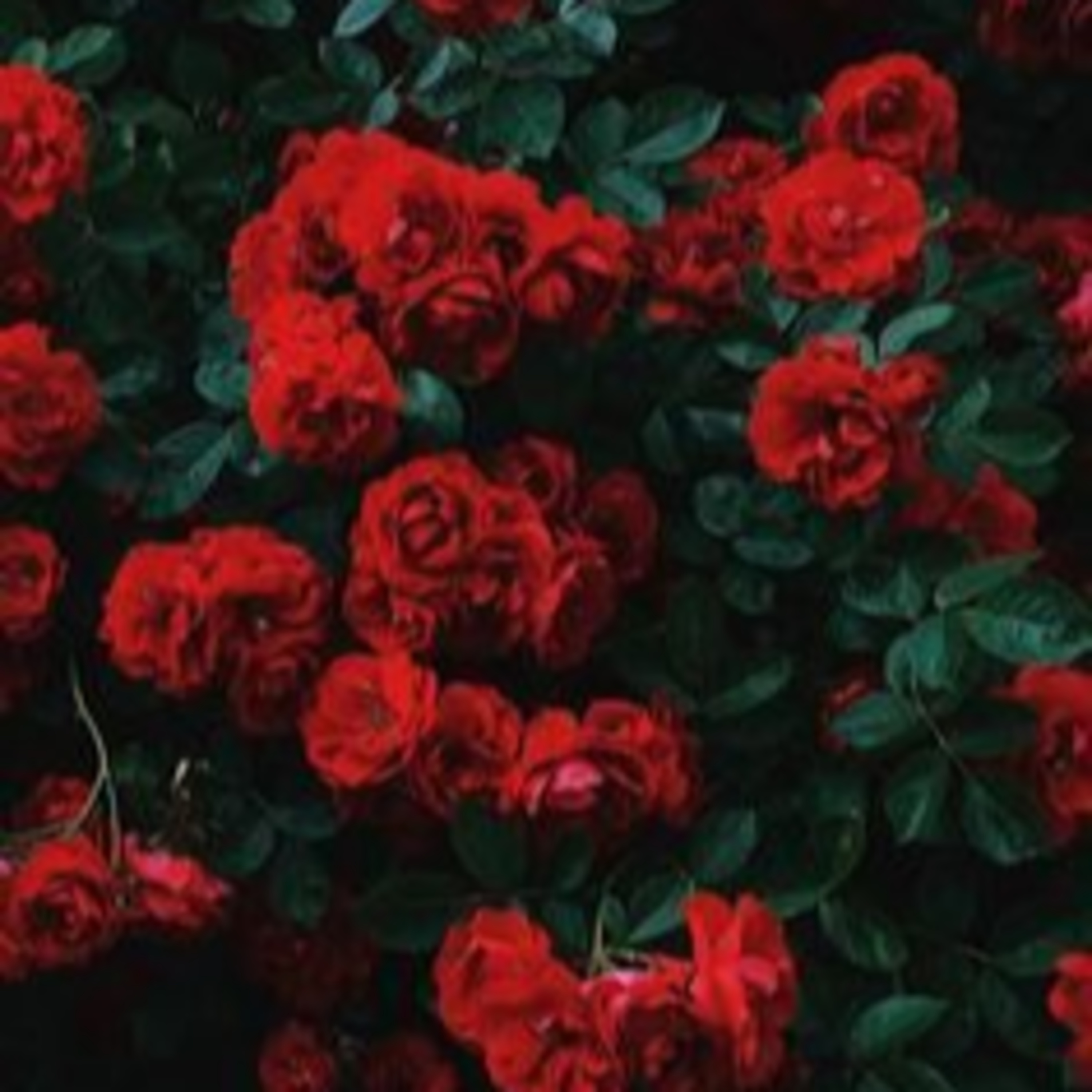 flores de ferro