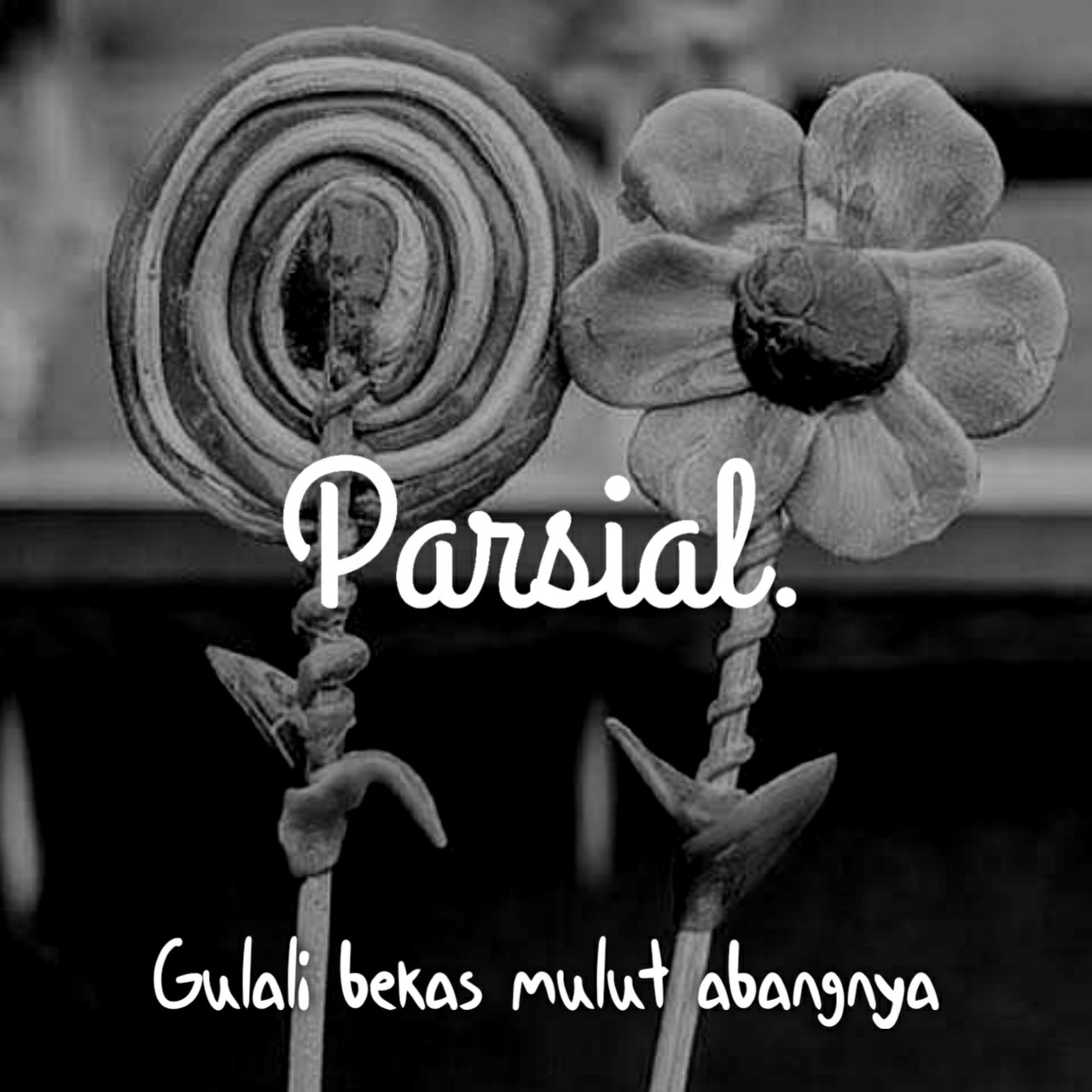 Parsial Podcast