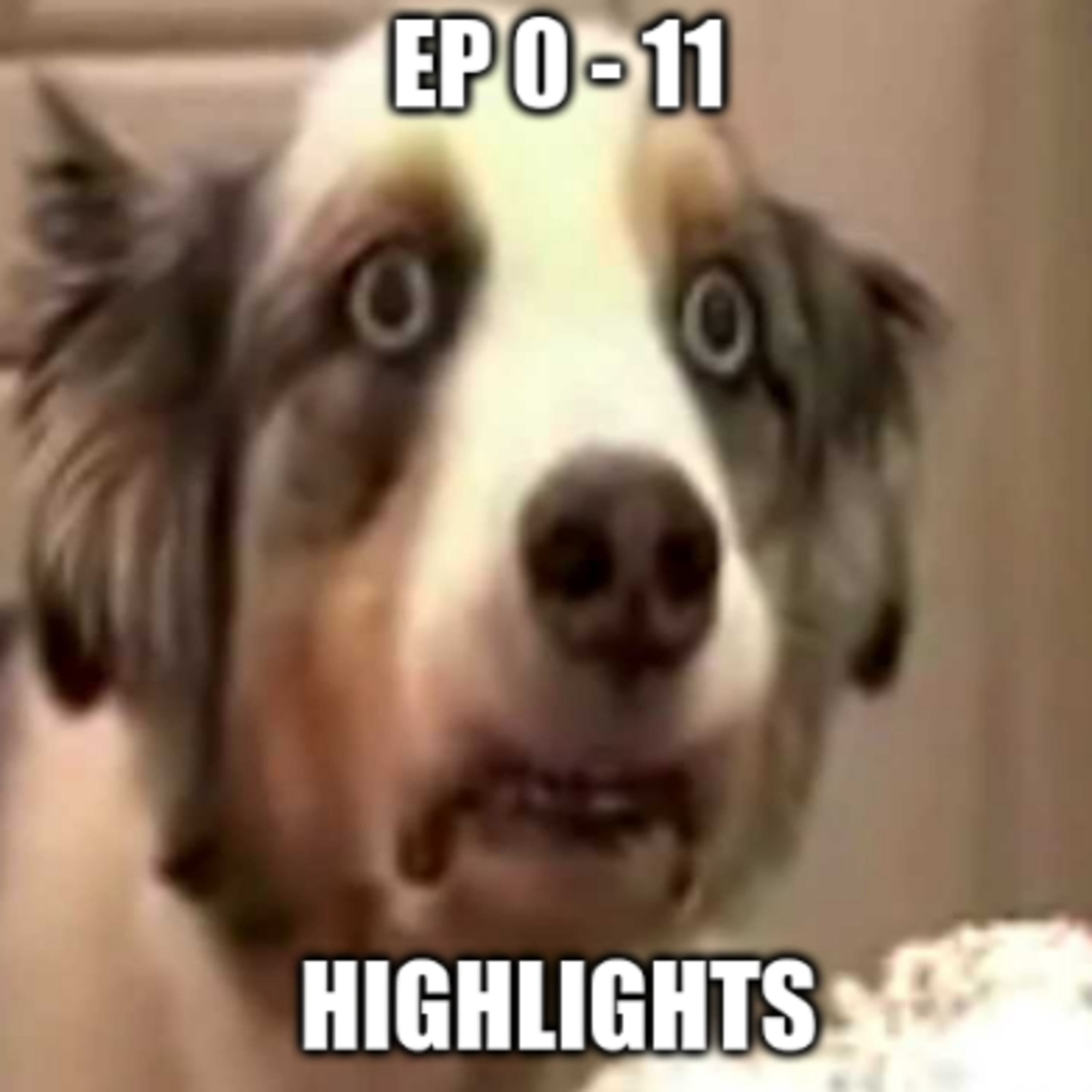 TCSS Podcast