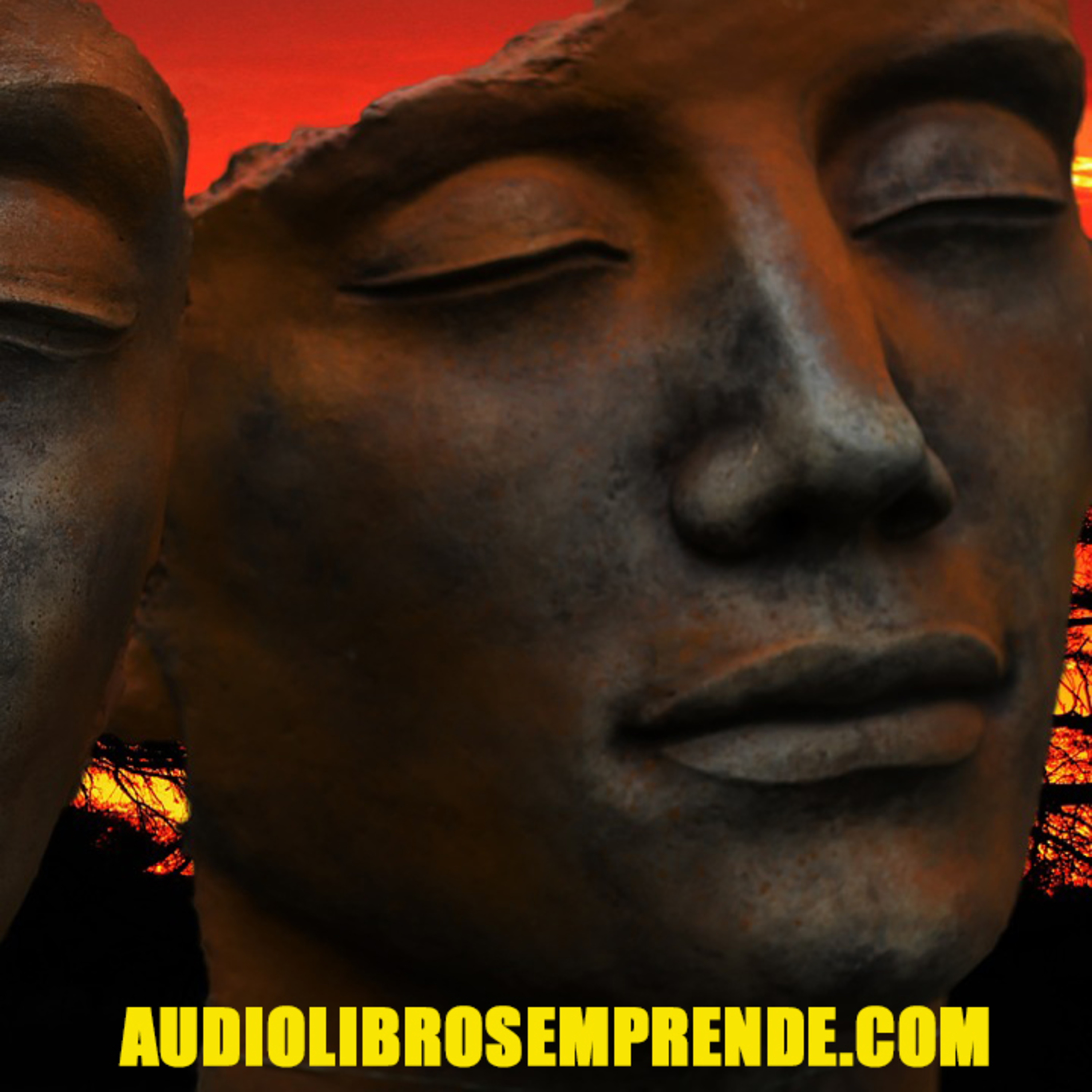 AudioLibros-Emprende