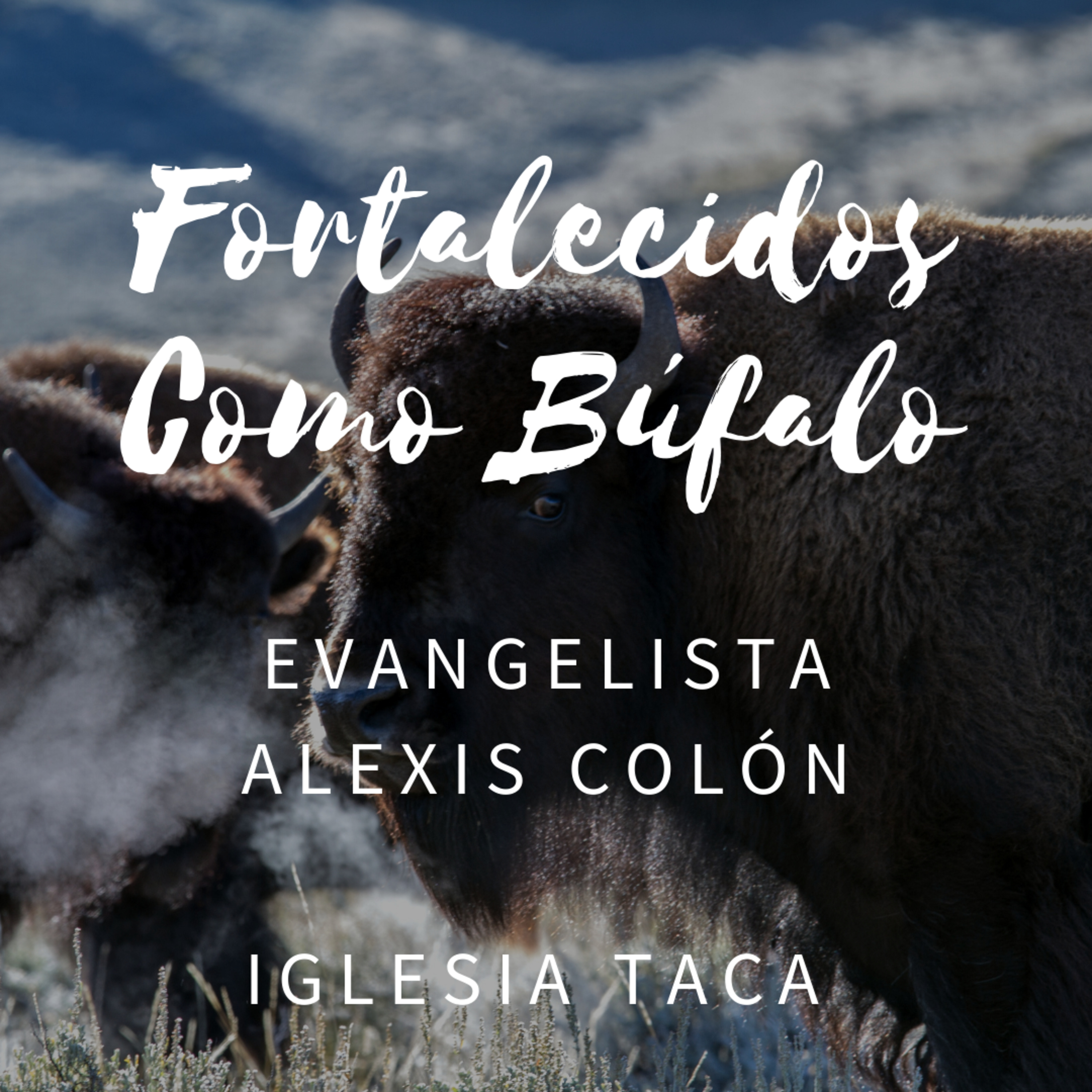 Portada de Iglesia TACA