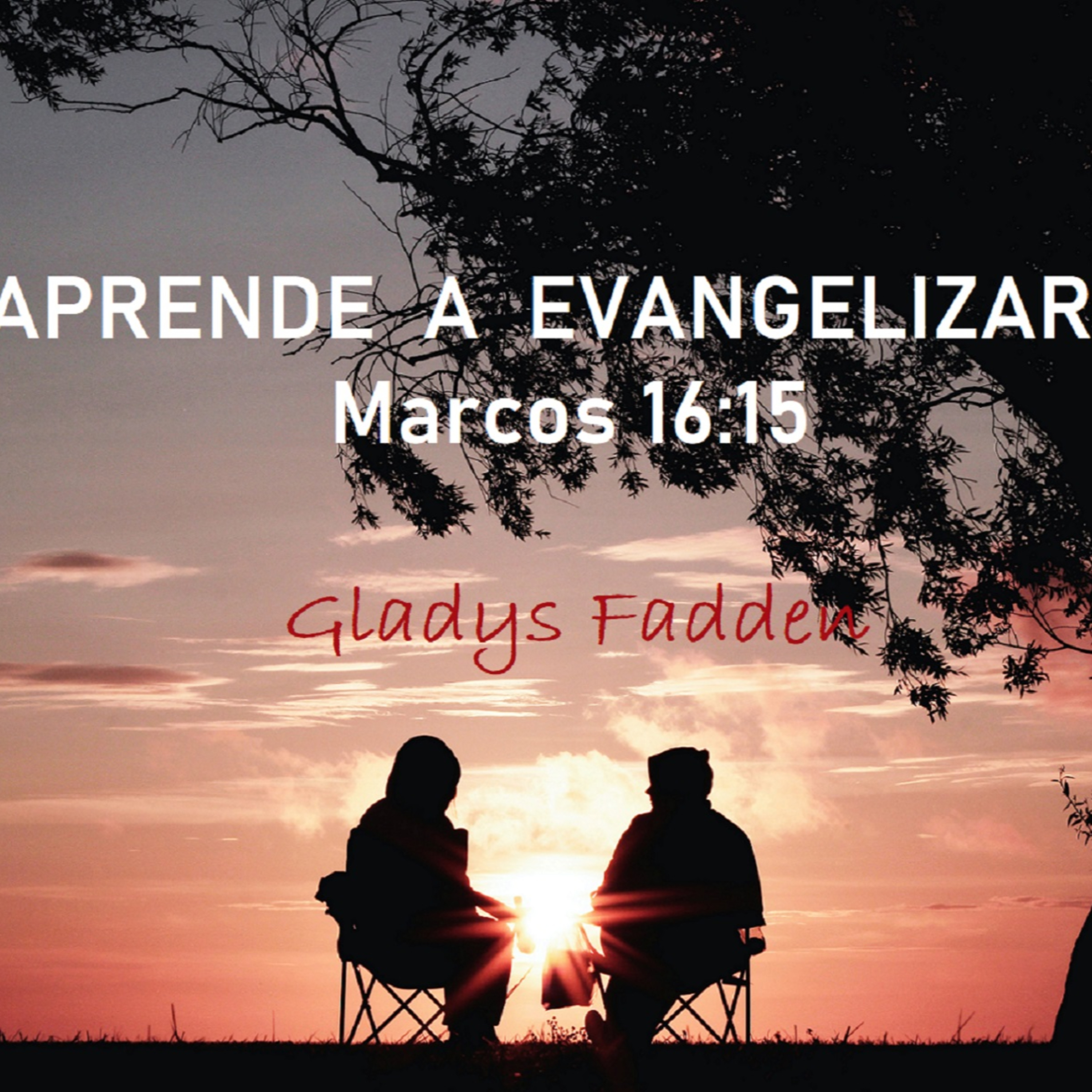 TRANSFORMACION