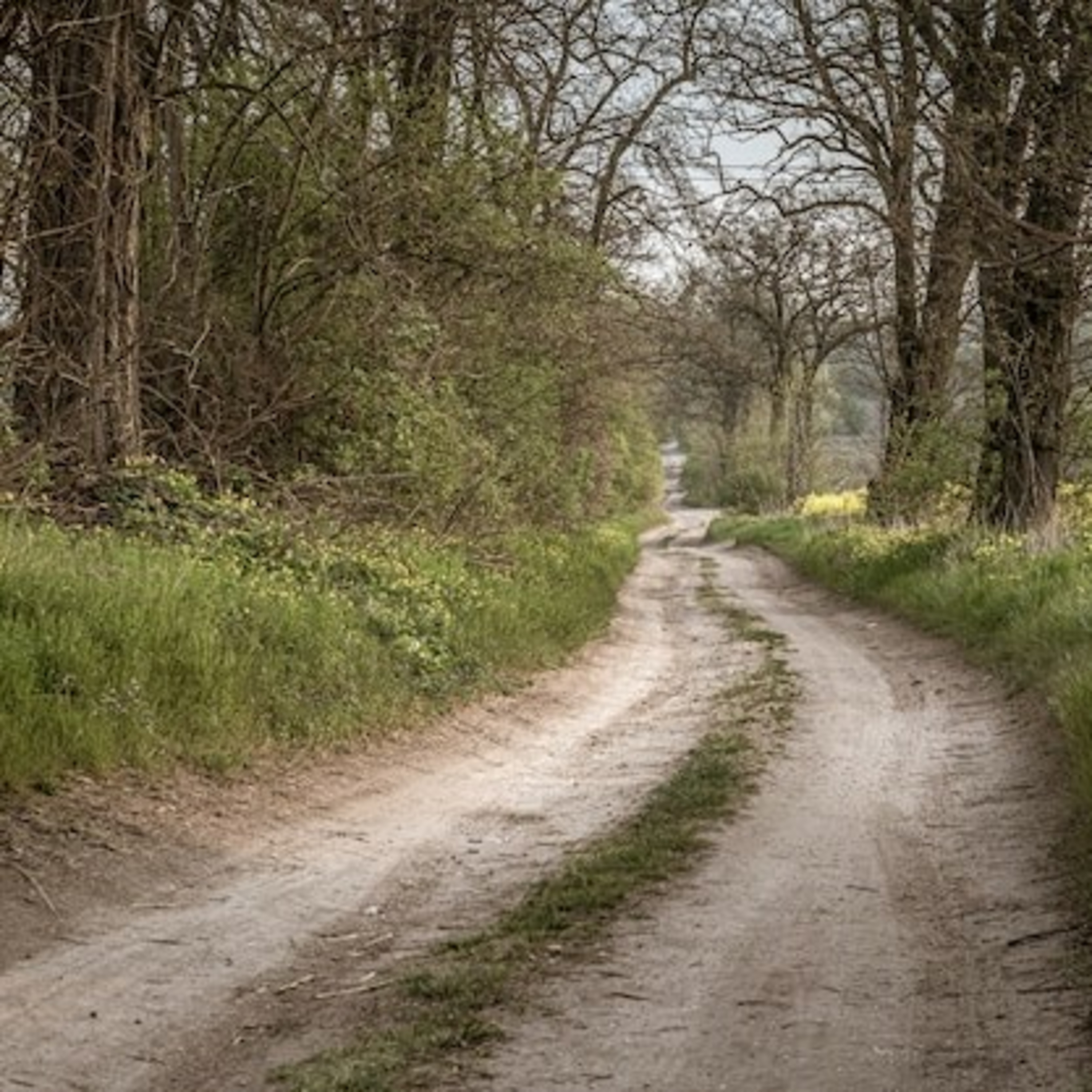 The Old Road (one-minute story) episode artwork
