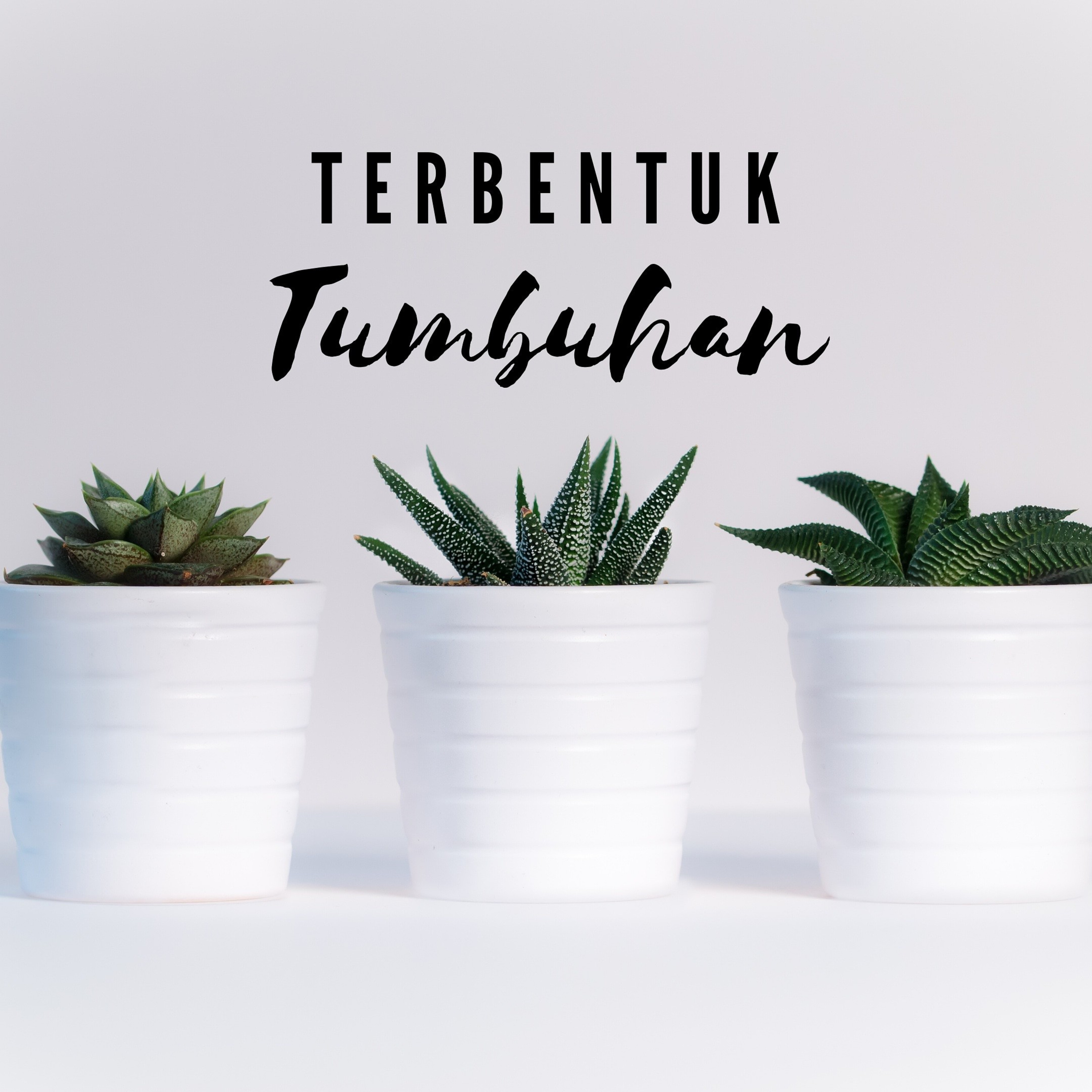 07. Perbucinan Dunia