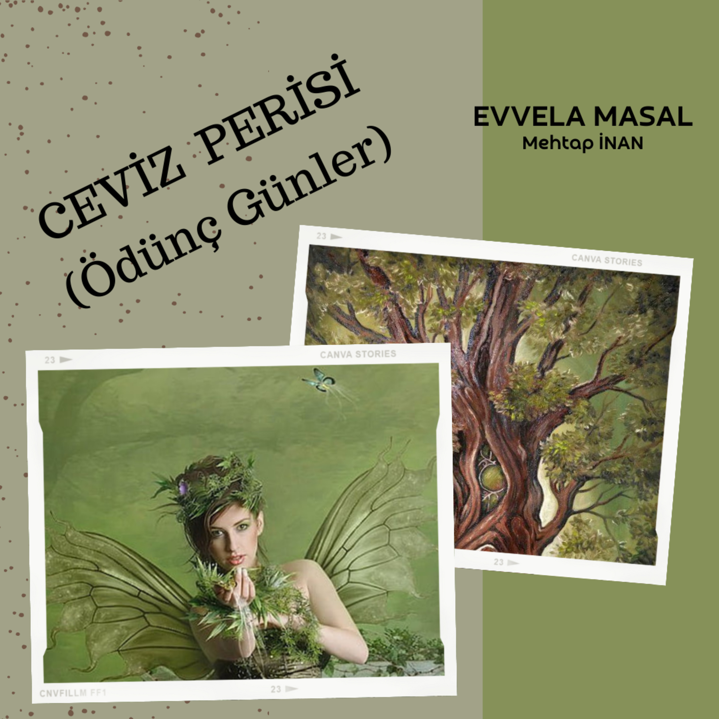 Ceviz Perisi / Ödünç Günler episode artwork