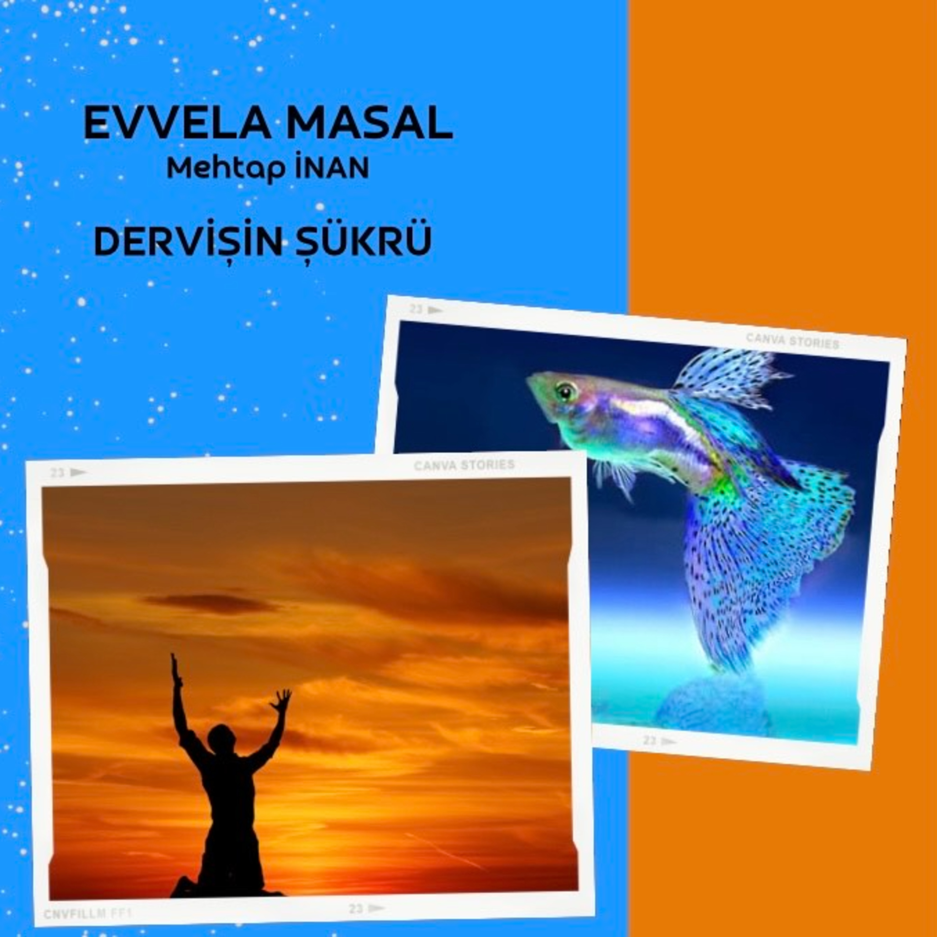 Dervişin Şükür Hikayesi episode artwork