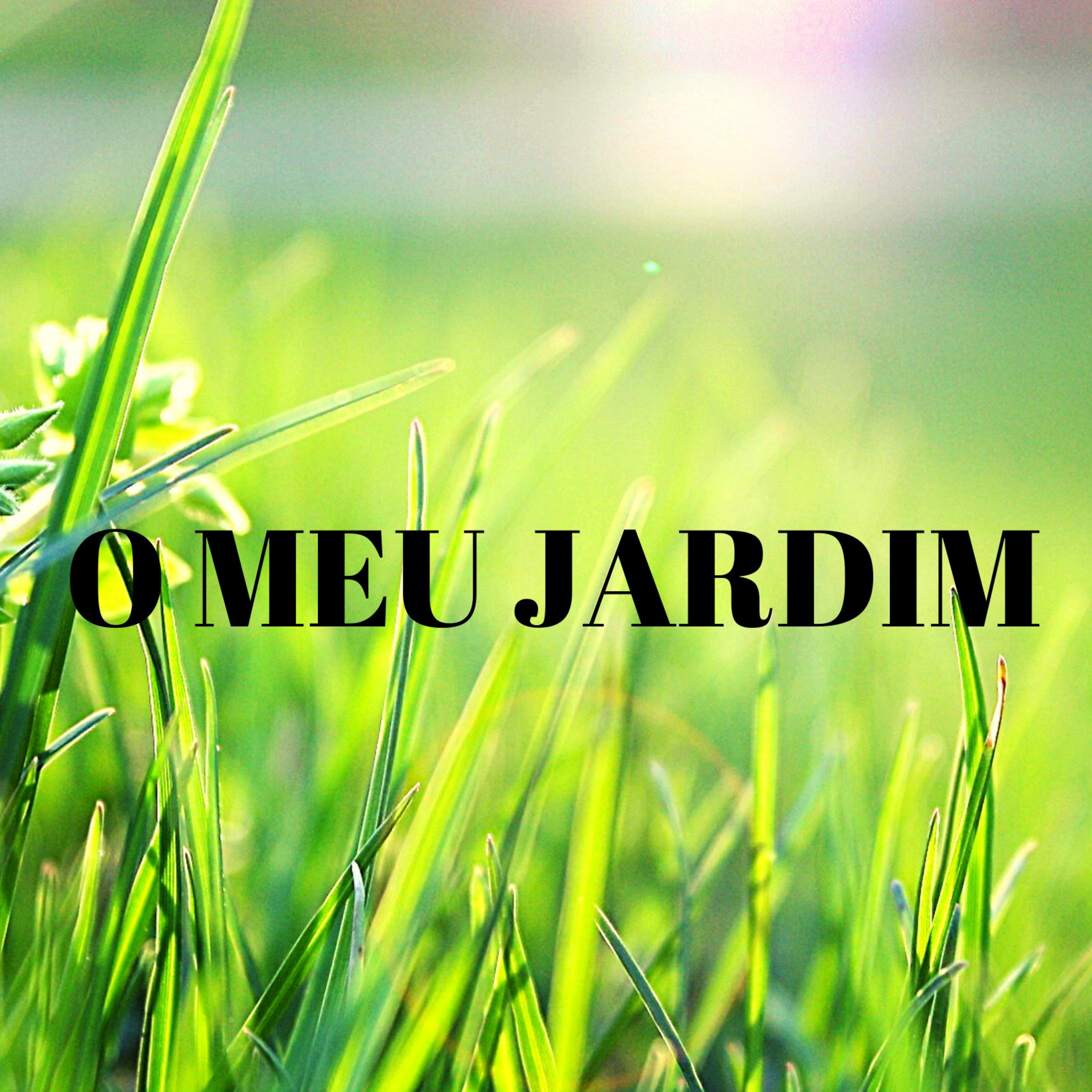 Podcasts, música, ar livre, objetos electrónicos e roupa/vestir