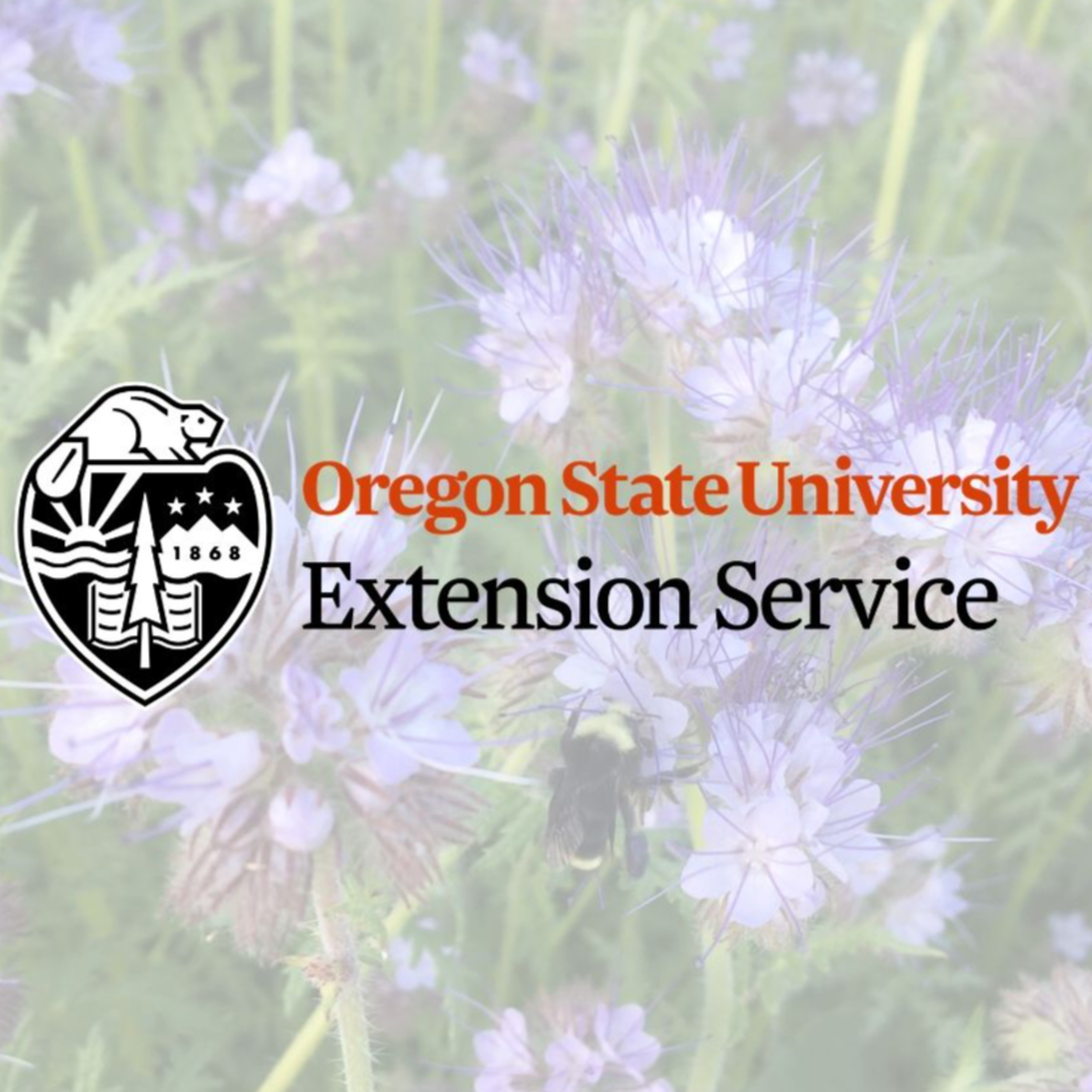 OSU Extension Gardening Q&A