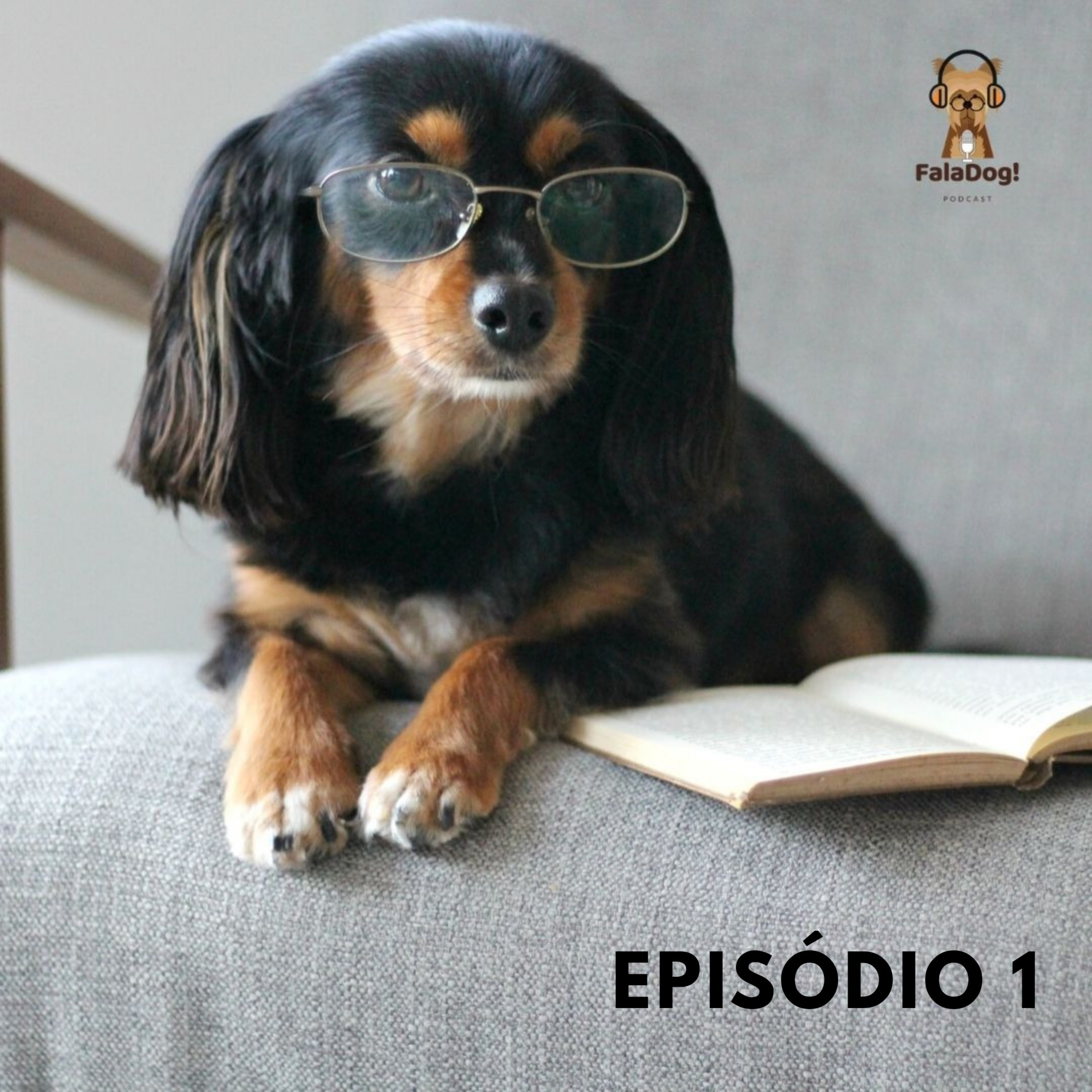 Como os cães aprendem? episode artwork