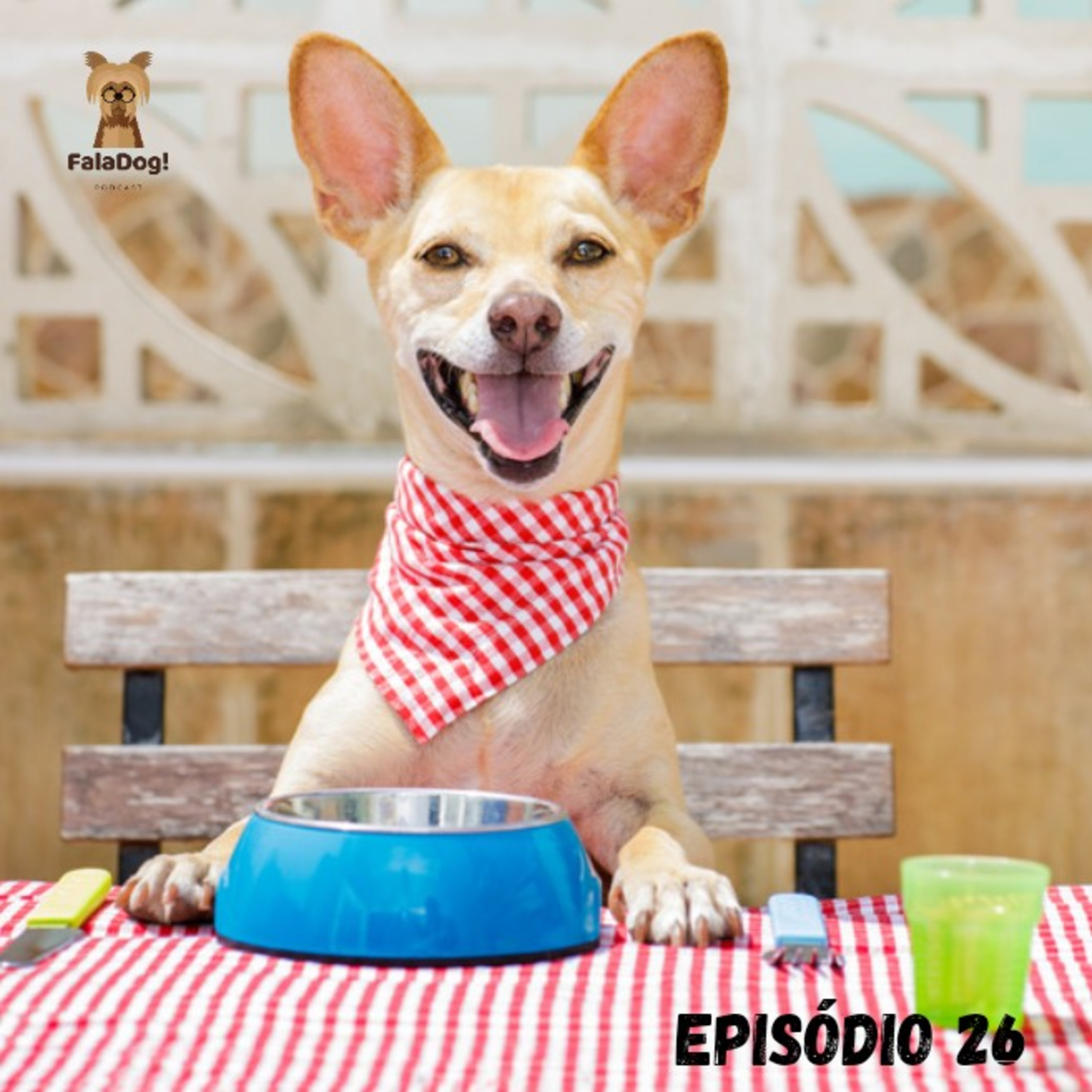 Como alimentar meu cachorro? episode artwork