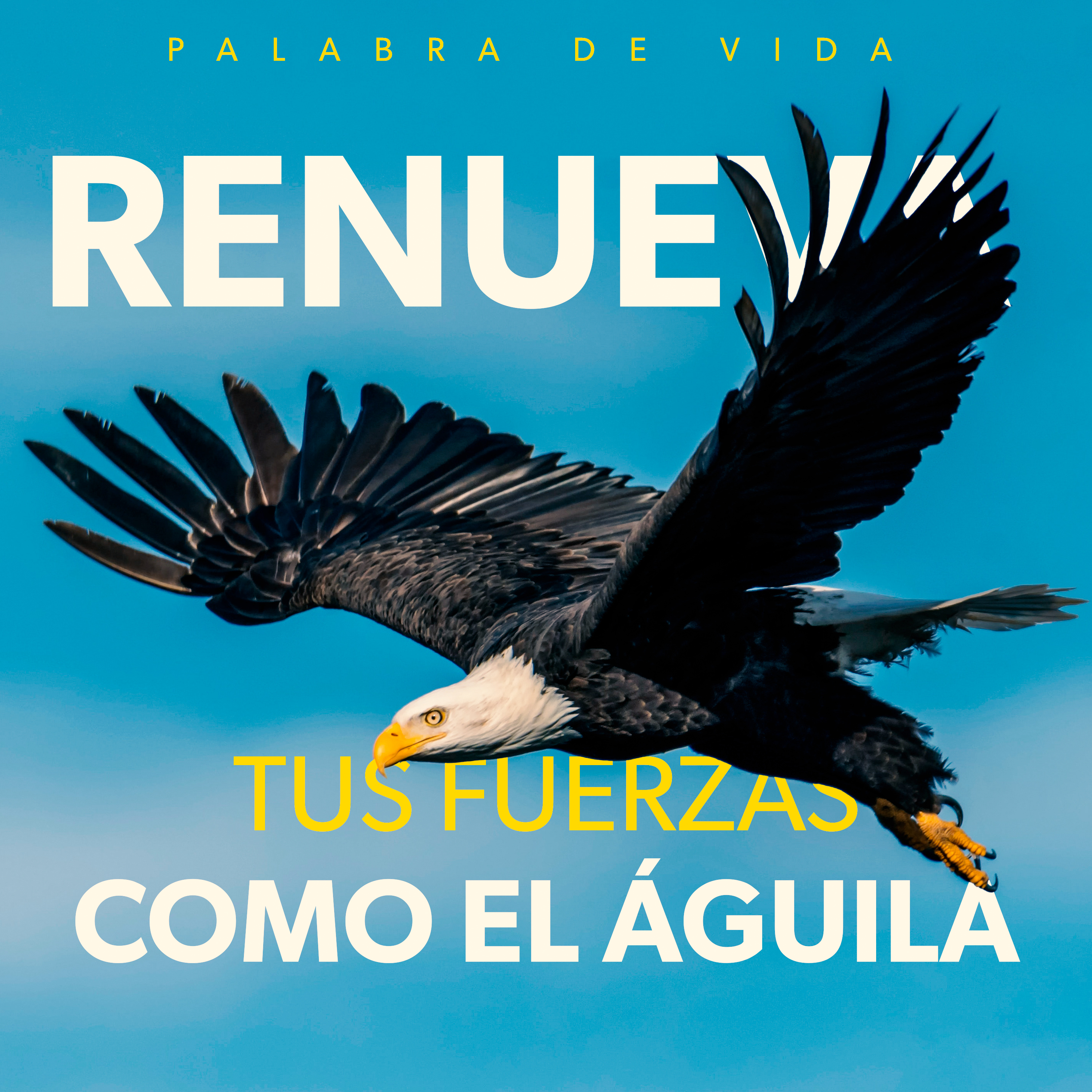 Palabra de Vida