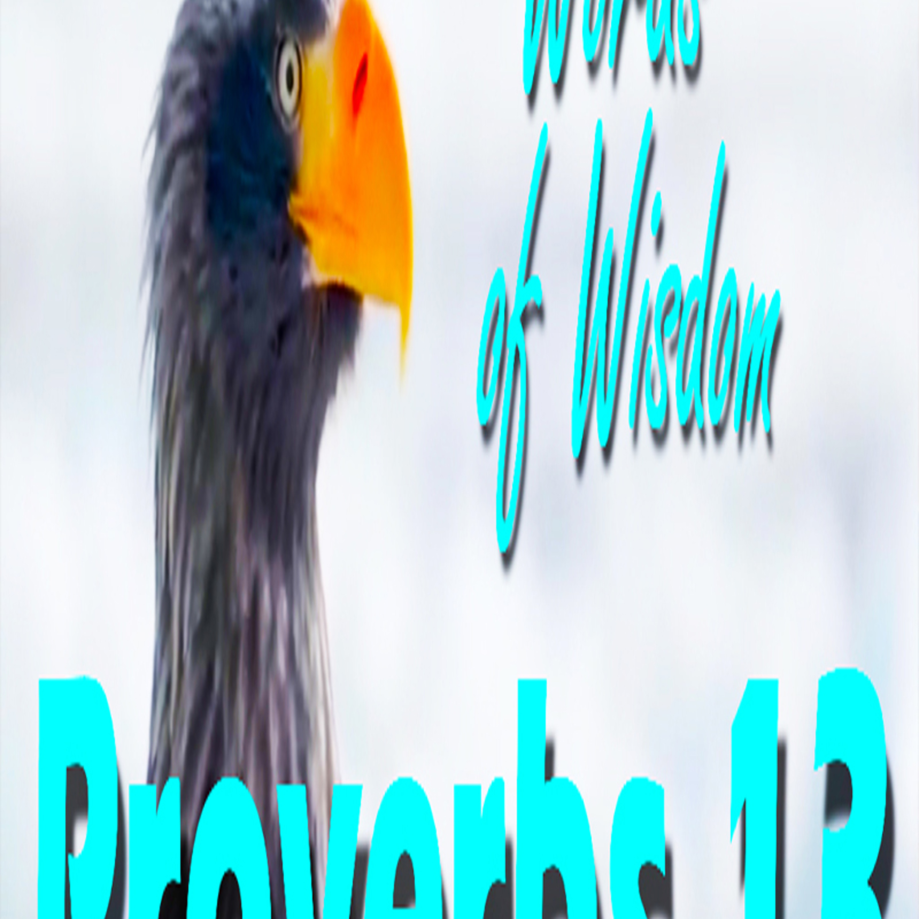 LEADERS WISDOM -PROVERBS 13 episode artwork