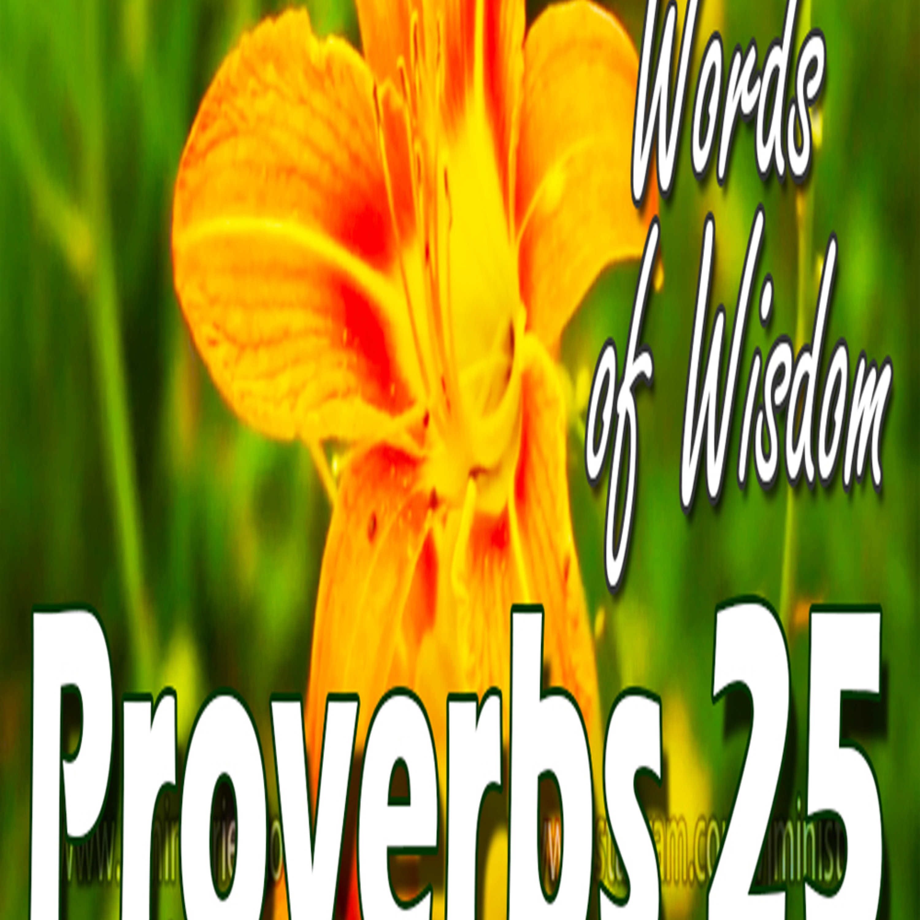 LEADERS WISDOM- 25 episode artwork