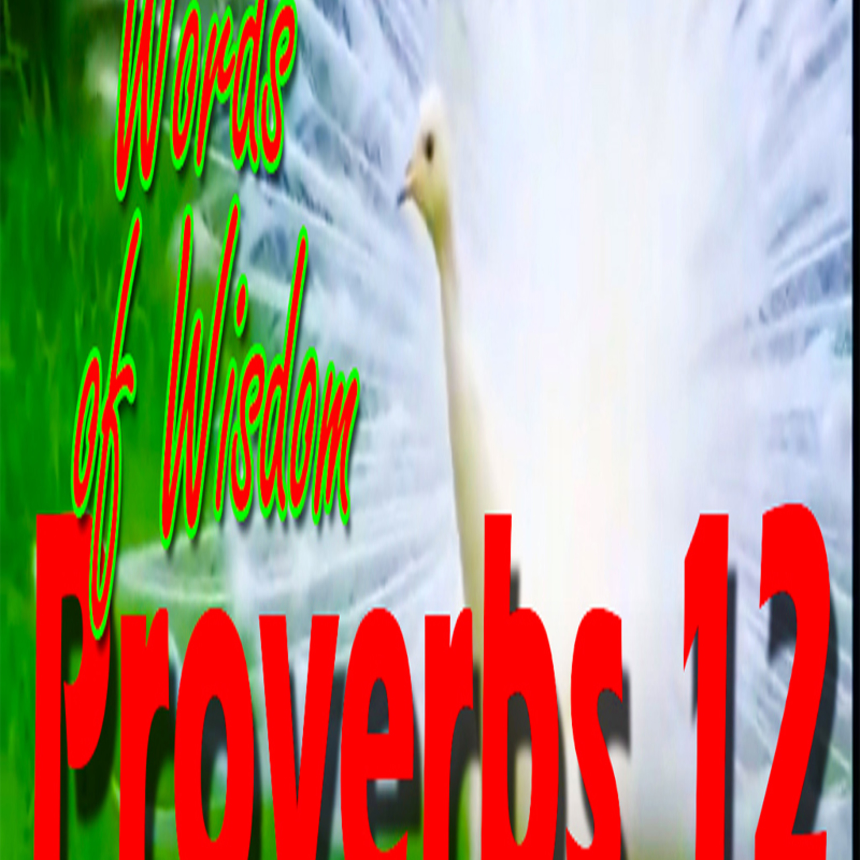 LEADERS WISDOM - PROVERBS 12 episode artwork
