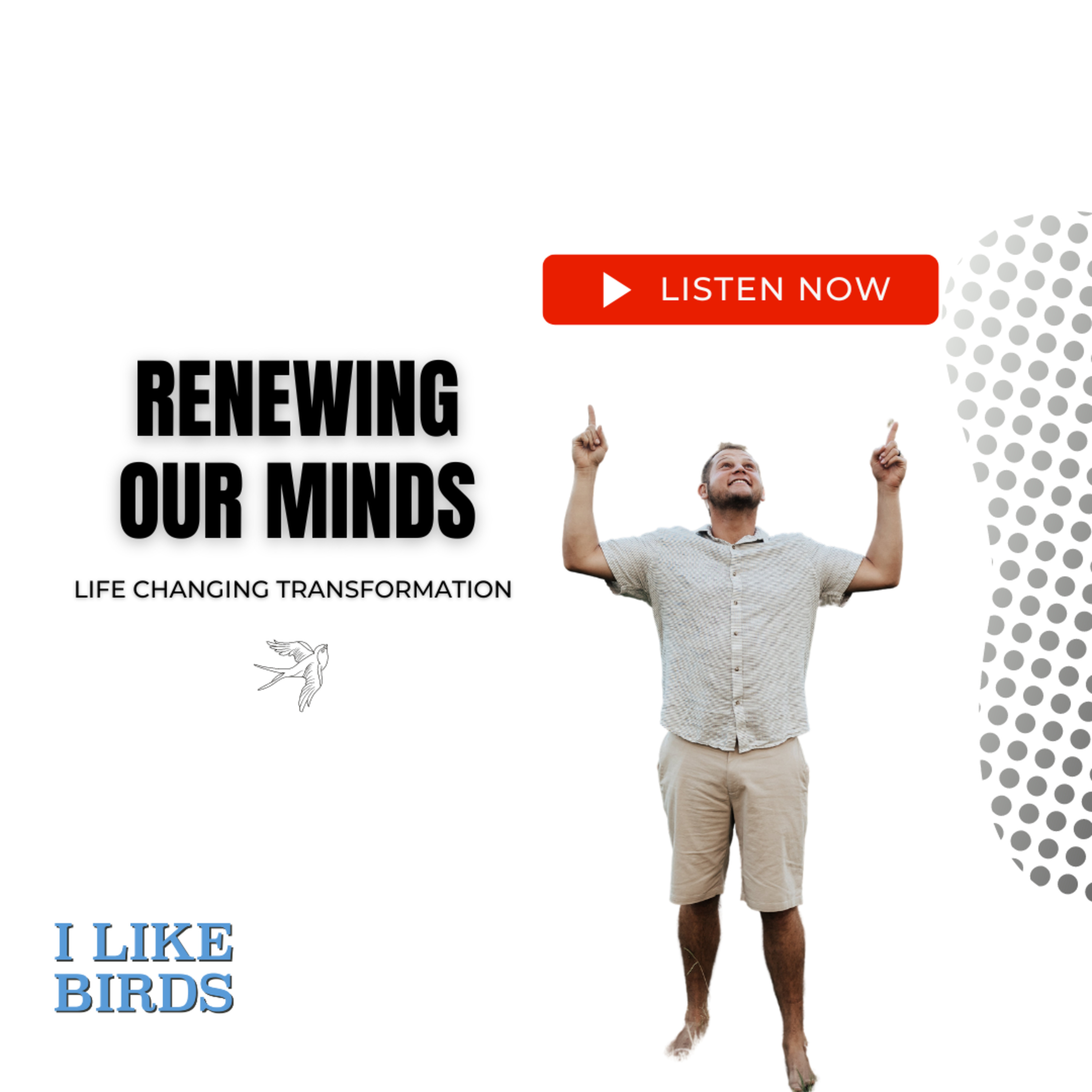 I Like Birds