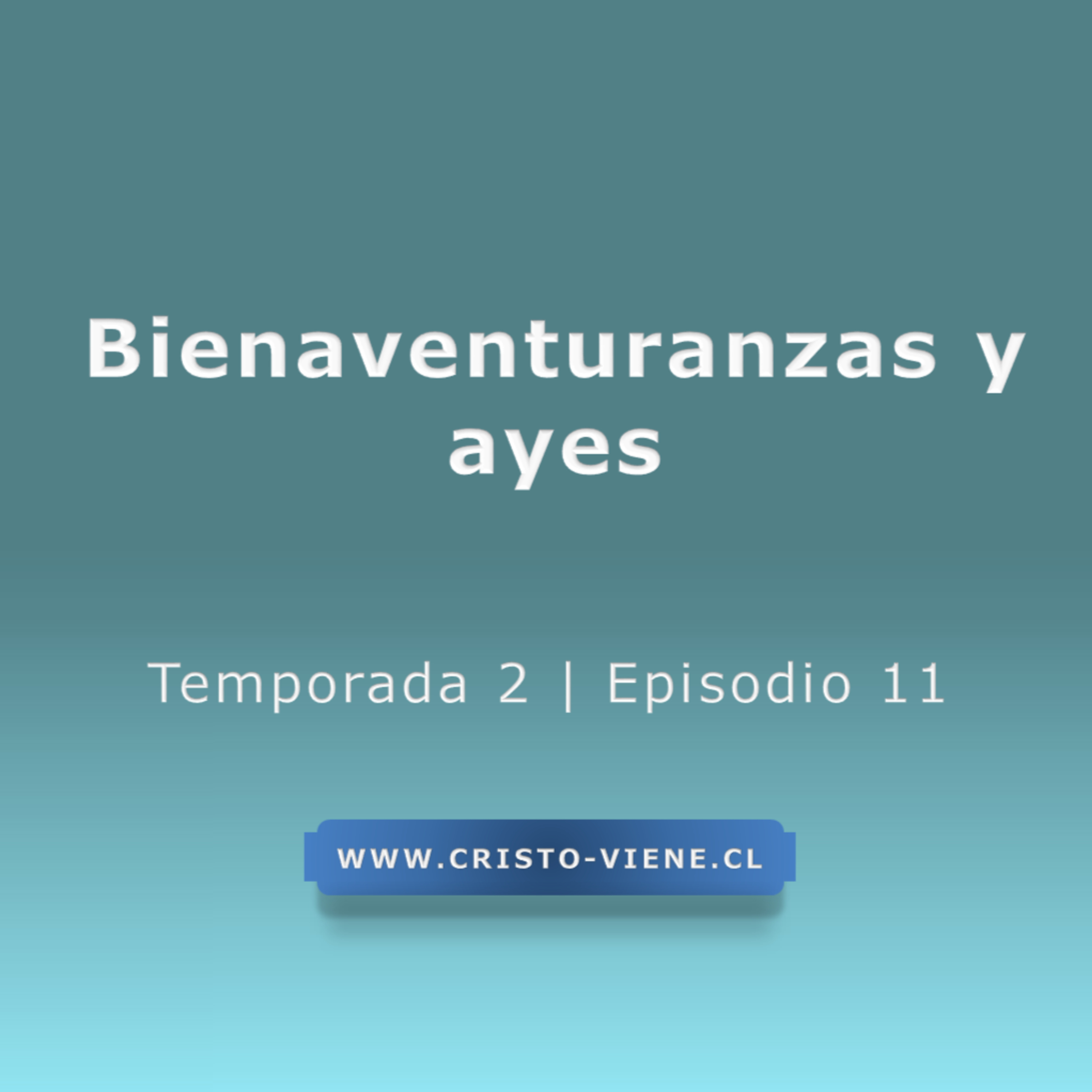 Bienaventuranzas y ayes (N° 11)