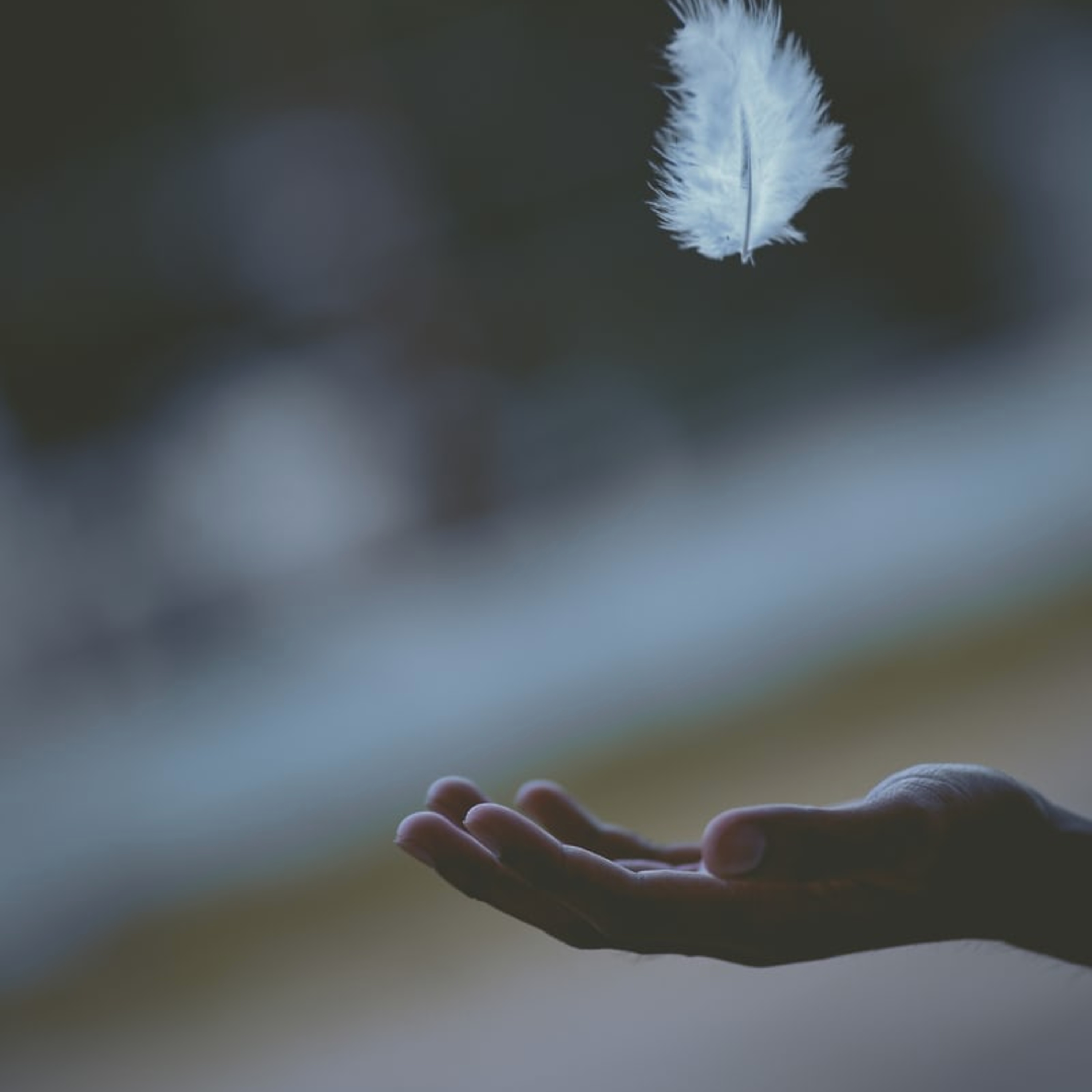 Tea and Dharma Talk with Adriana MeBarr