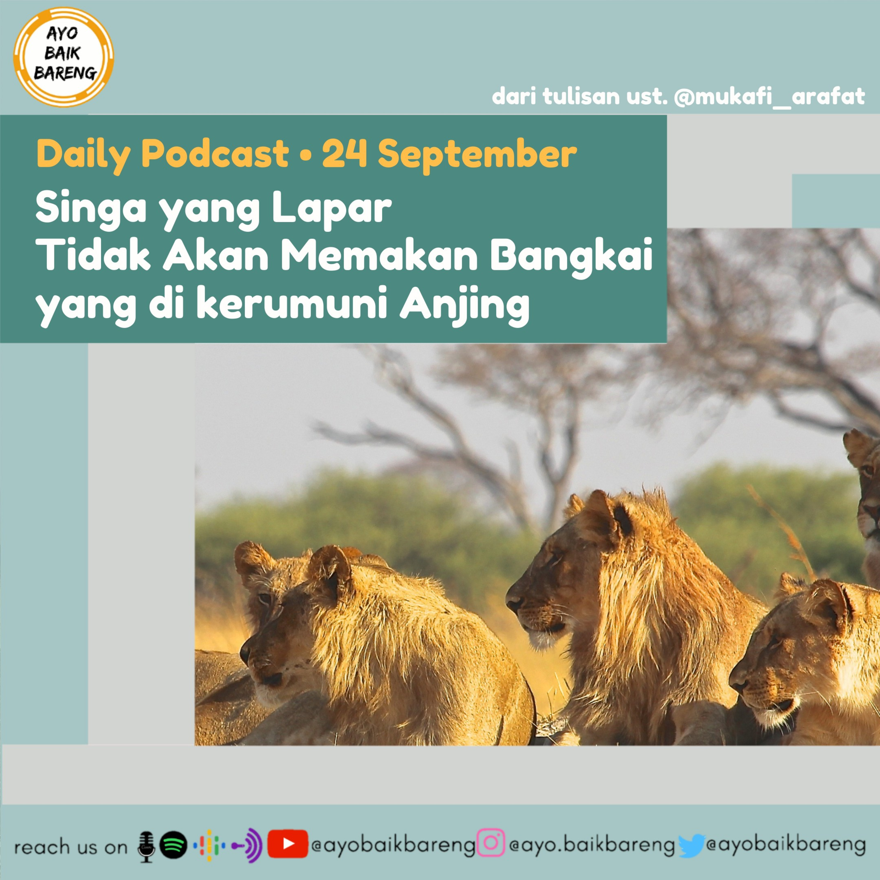 🎧 [24 September] | Singa yang Lapar Tidak Akan Memakan Bangkai yang di kerumuni Anjing episode artwork