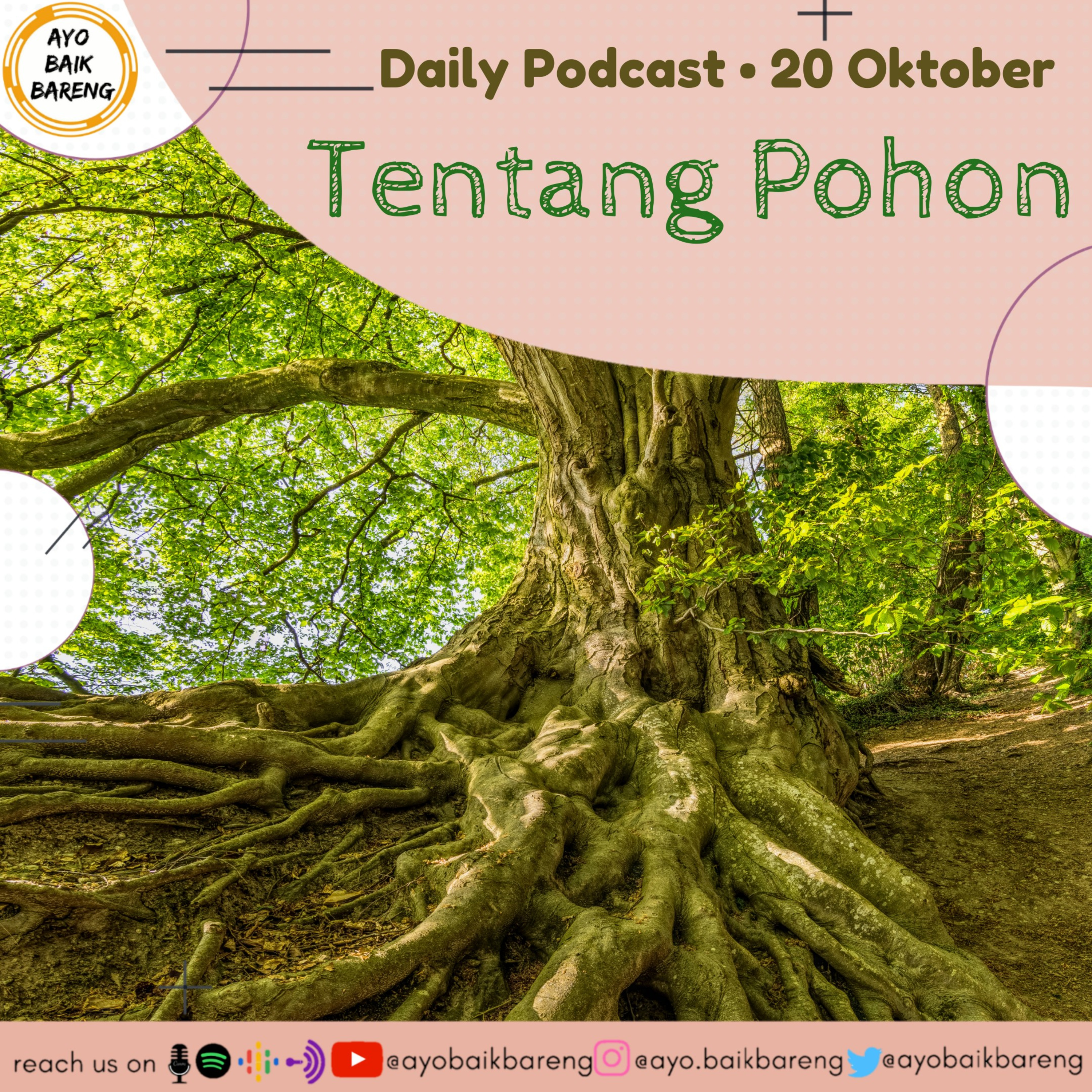 🎧 [20 Oktober] | Tentang Pohon 
 episode artwork