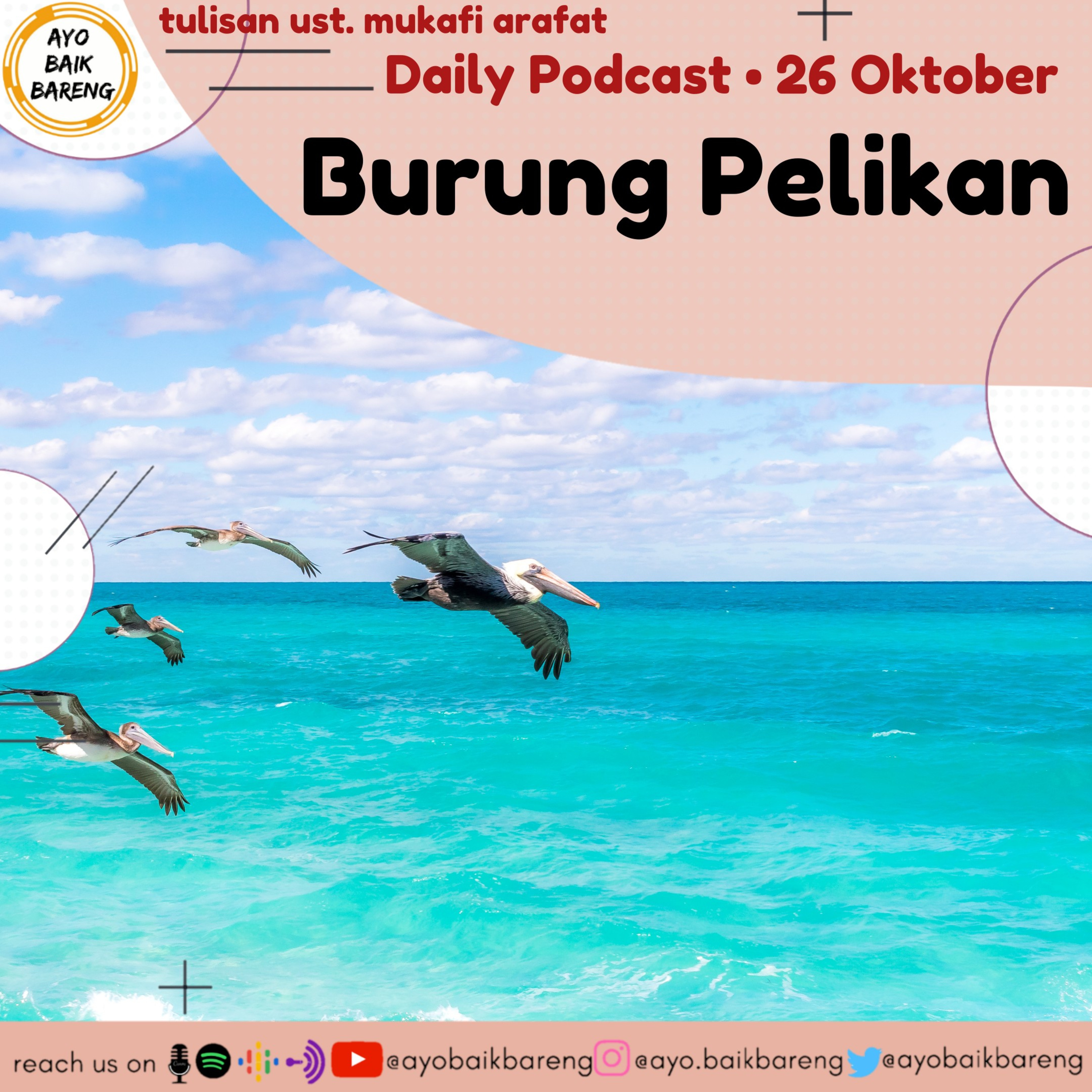 🎧 [26 Oktober] | Burung Pelikan episode artwork