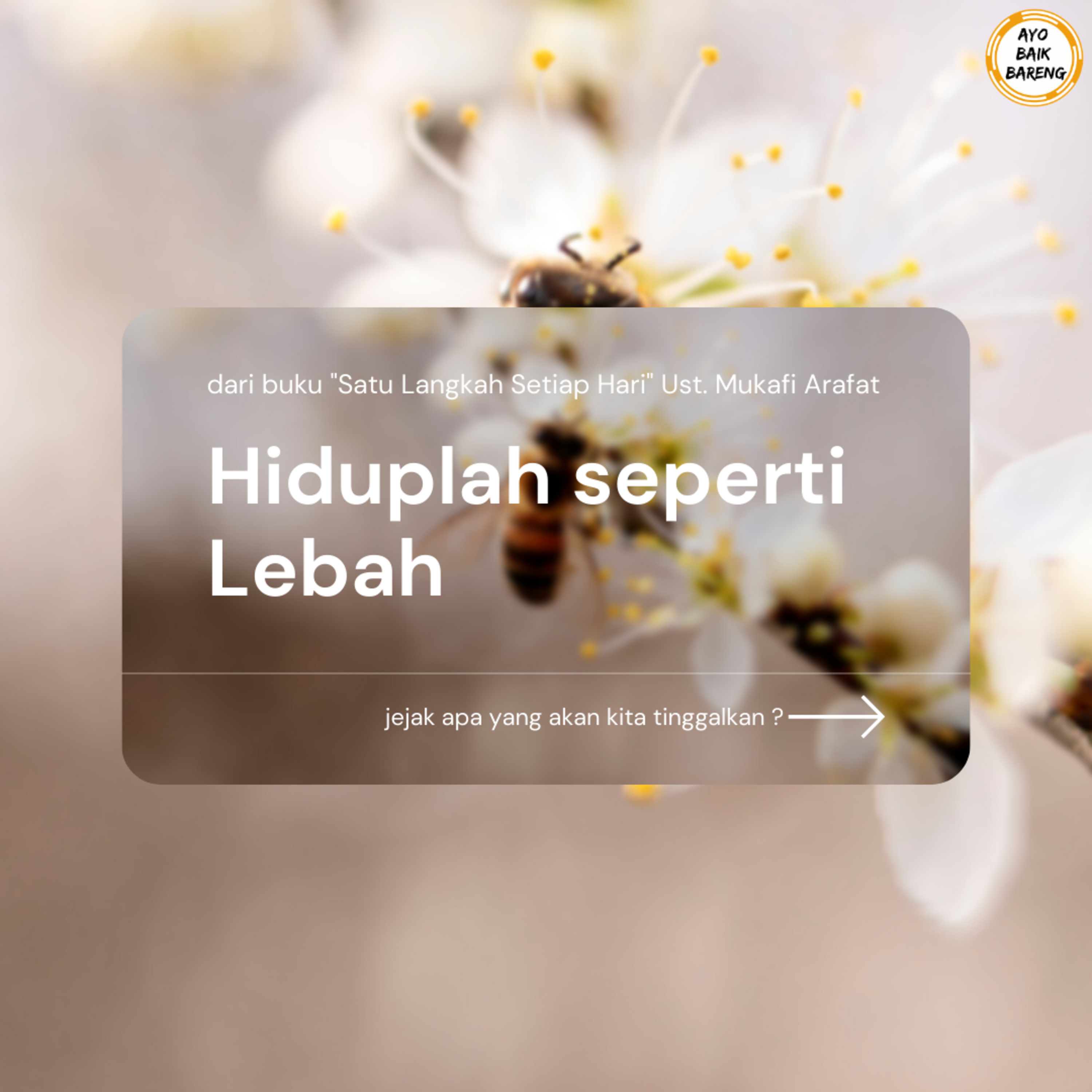 🎧 [6 November] | Hiduplah seperti Lebah episode artwork