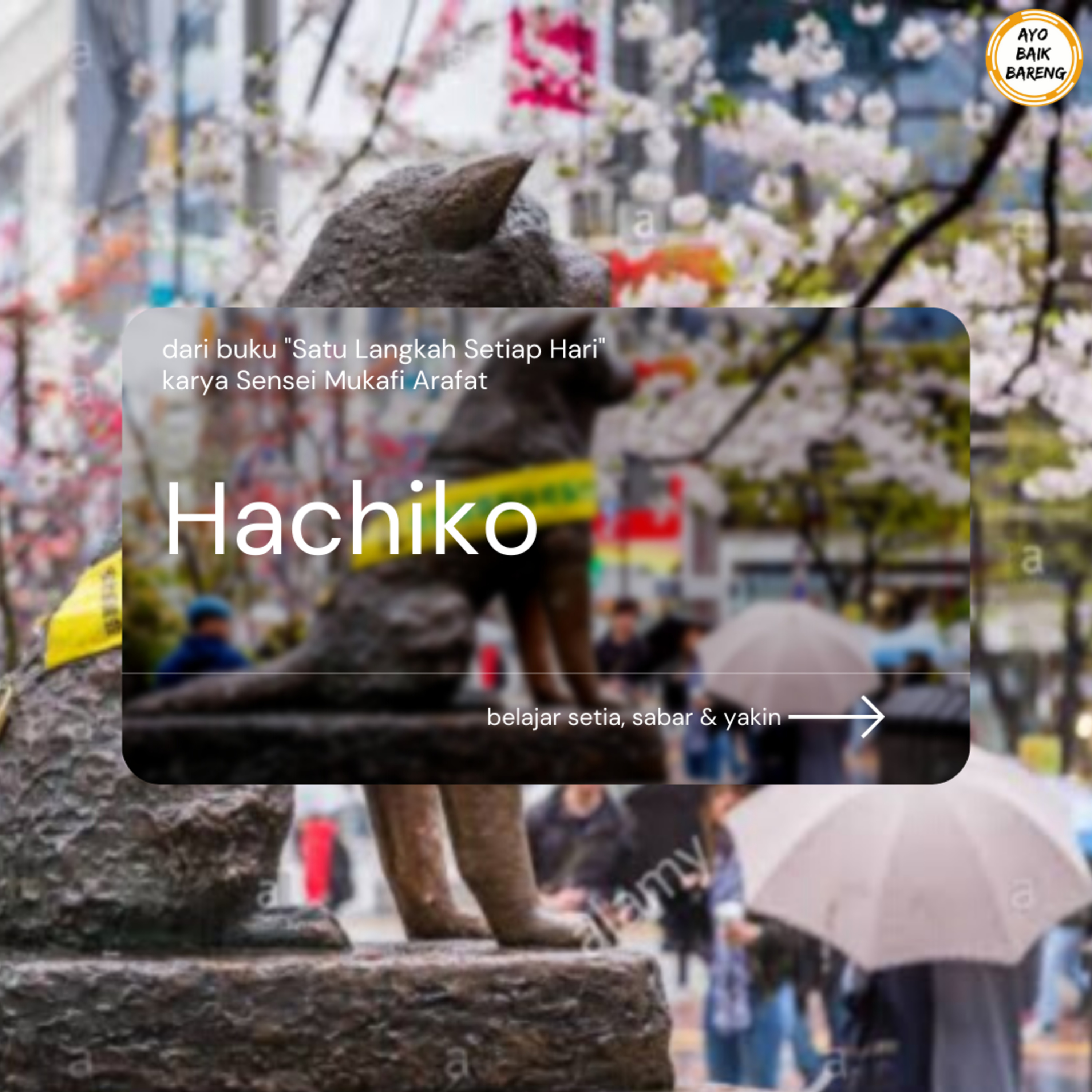 🎧 [11 November] | Hachiko episode artwork