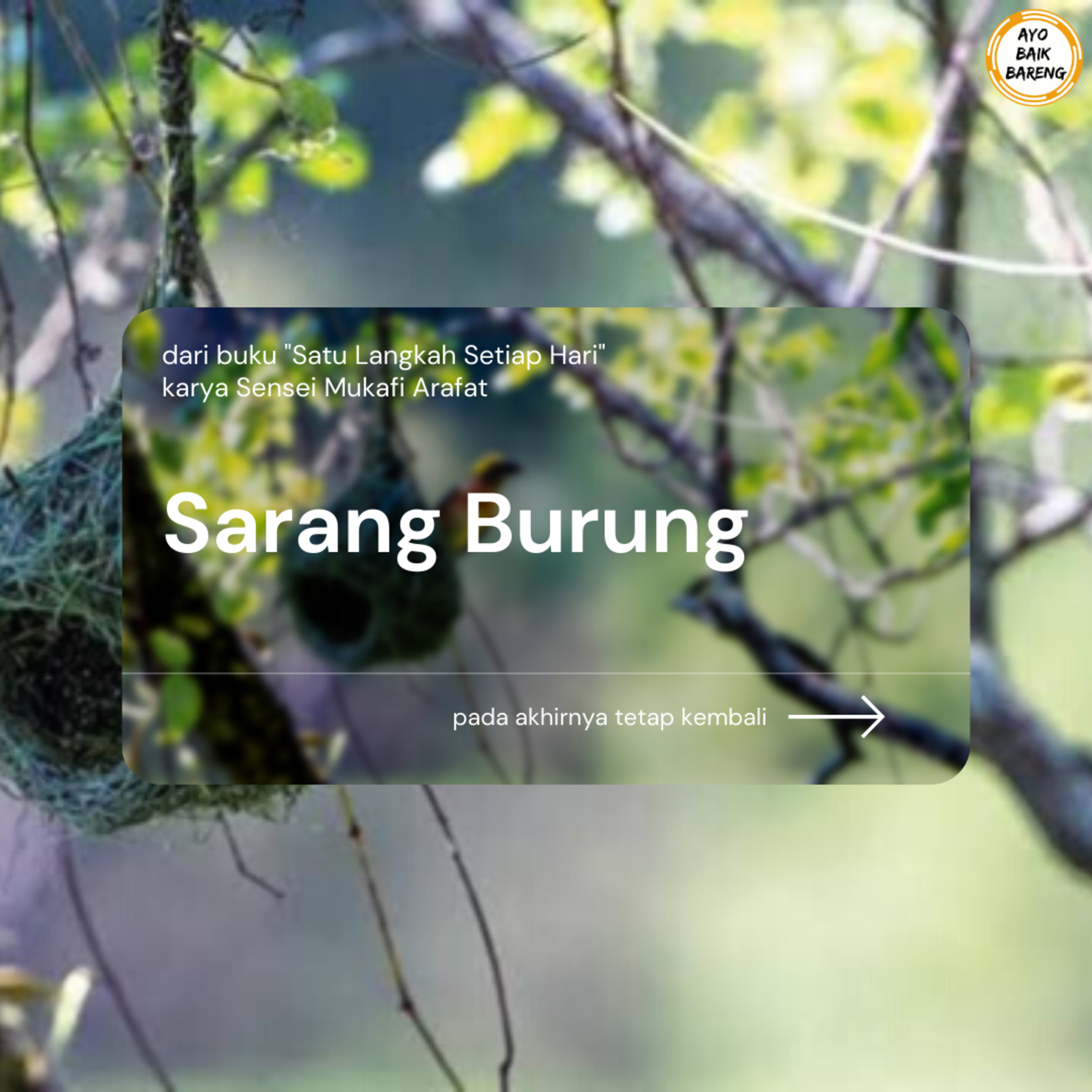 🎧 [15 November] | Sarang Burung episode artwork