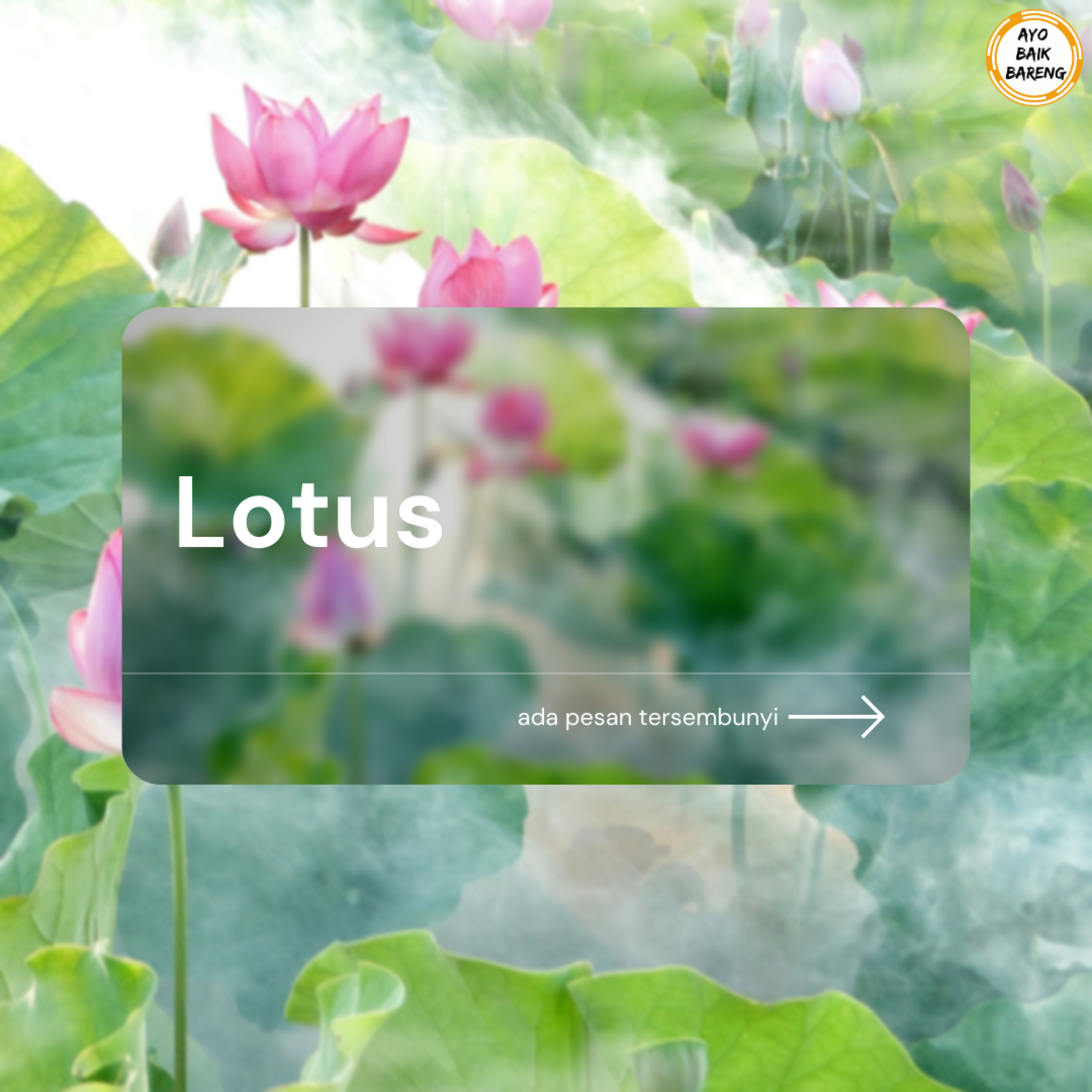 🎧 [20 November] | Lotus episode artwork