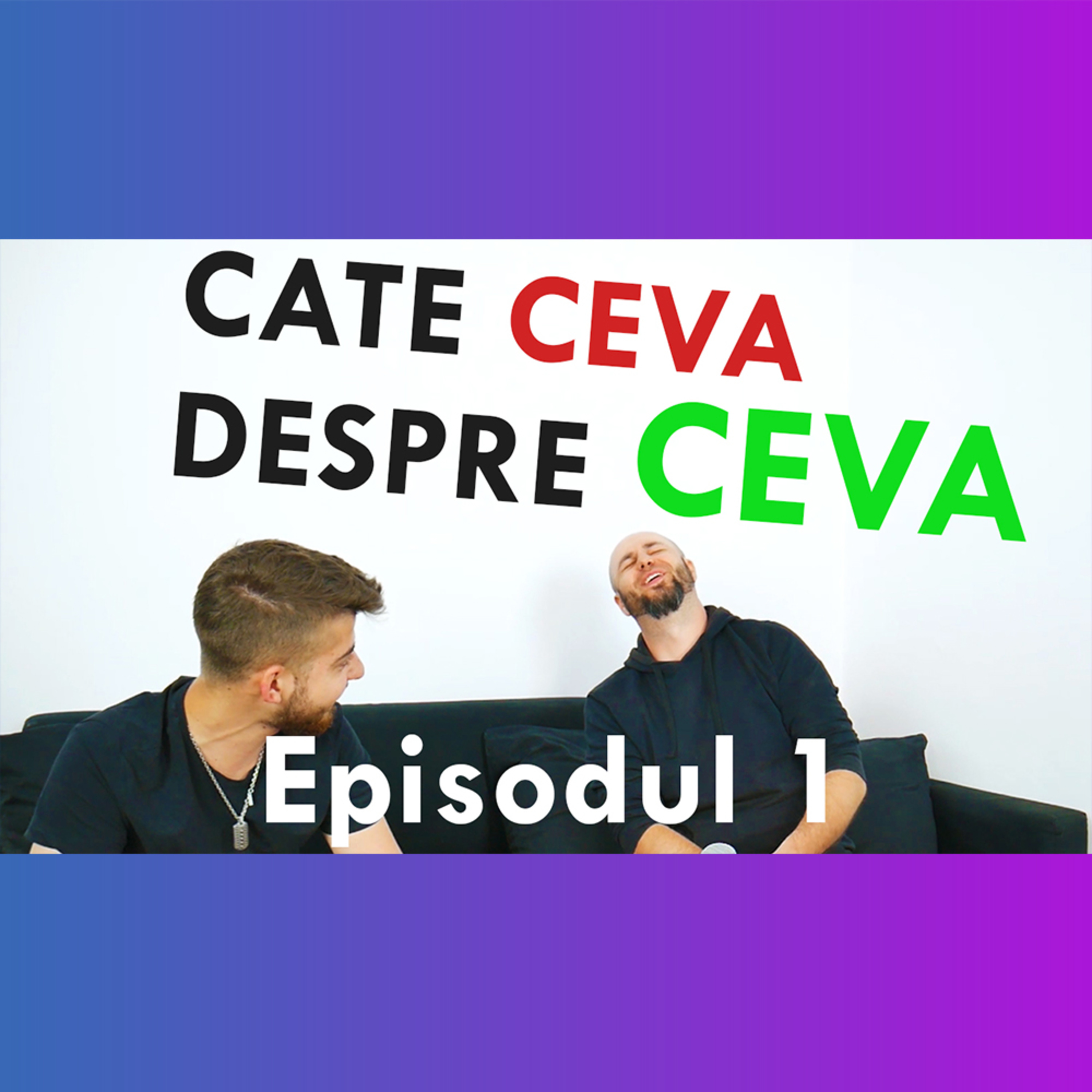 Cate ceva despre ceva