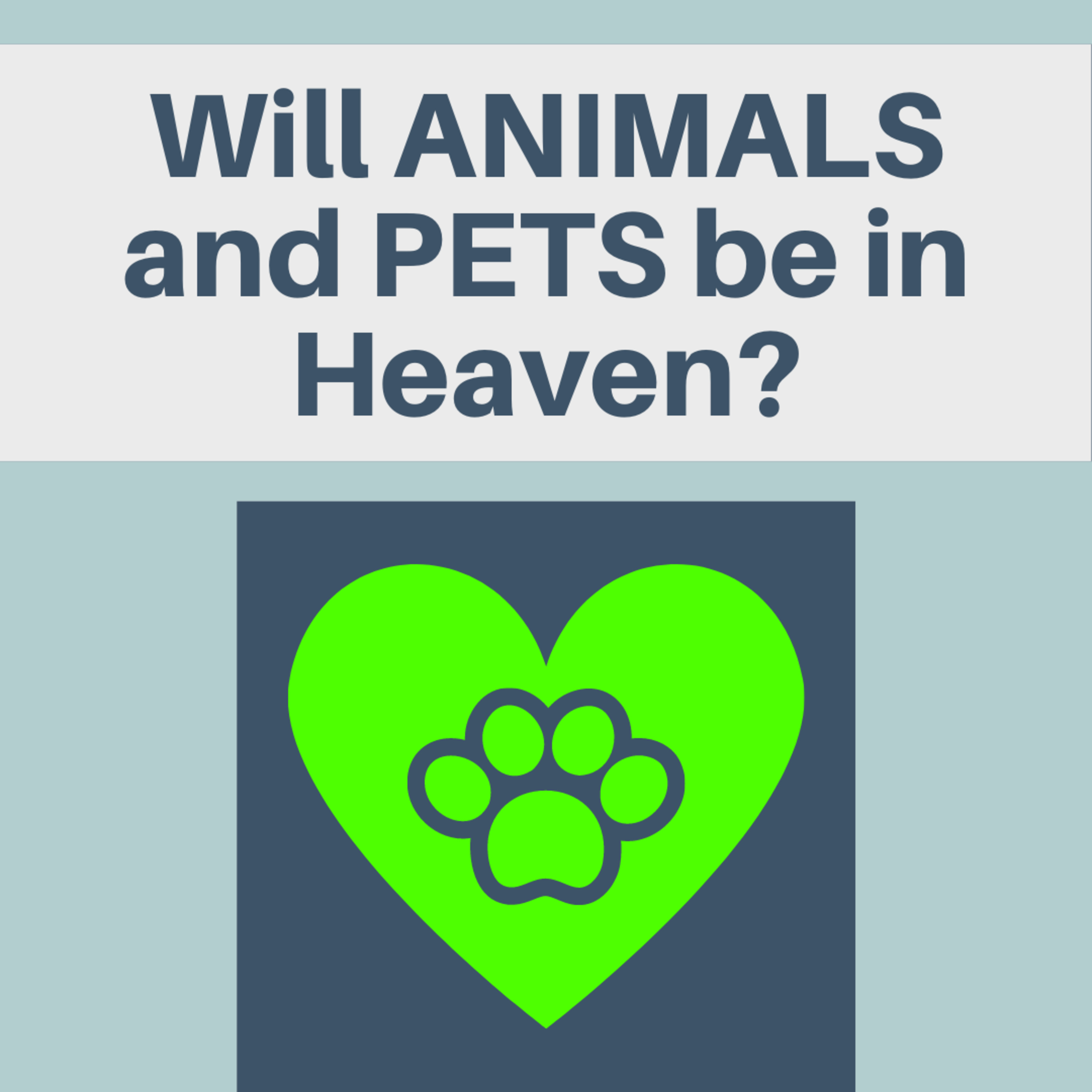 Questions About Heaven - Grass is Greener