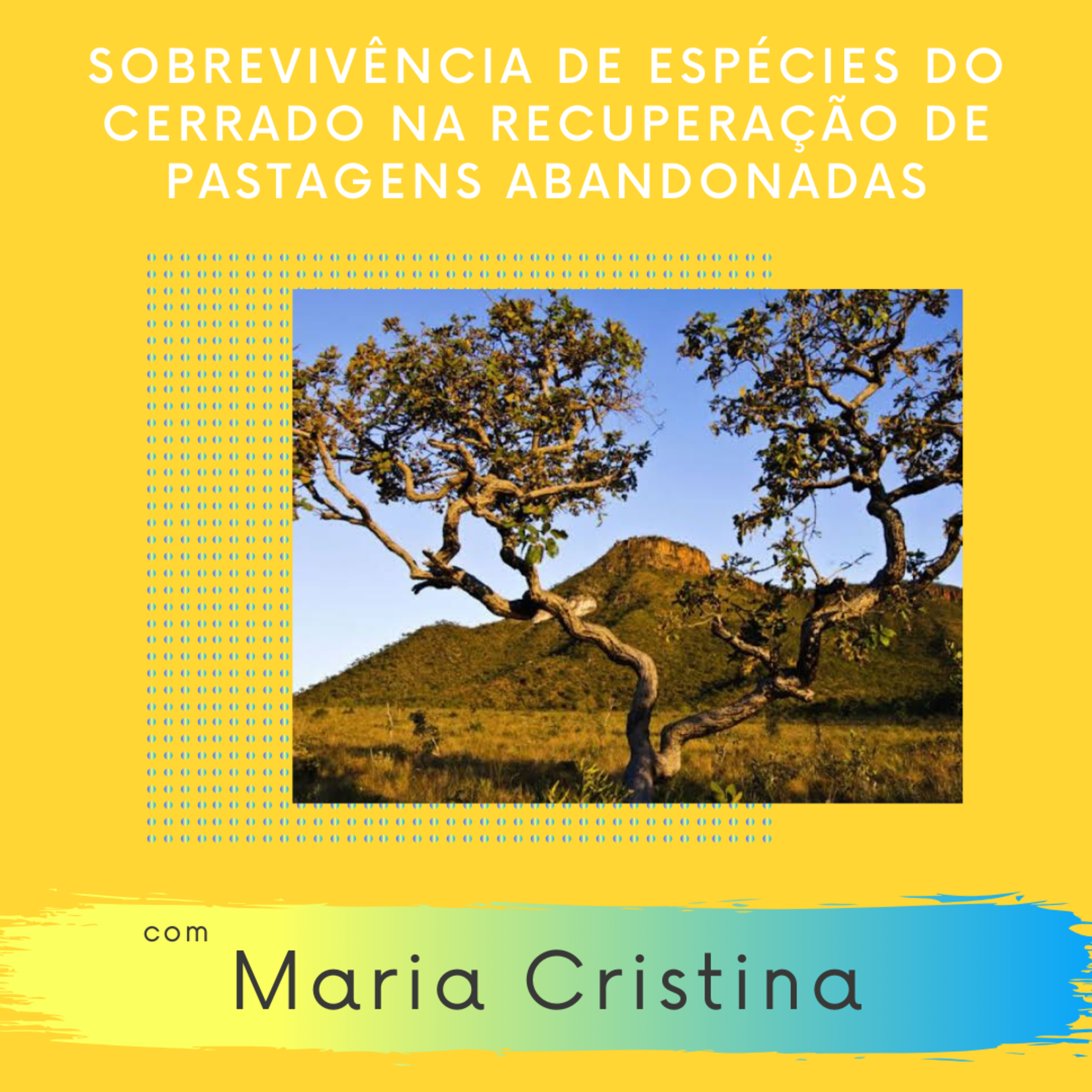 Facilitaí